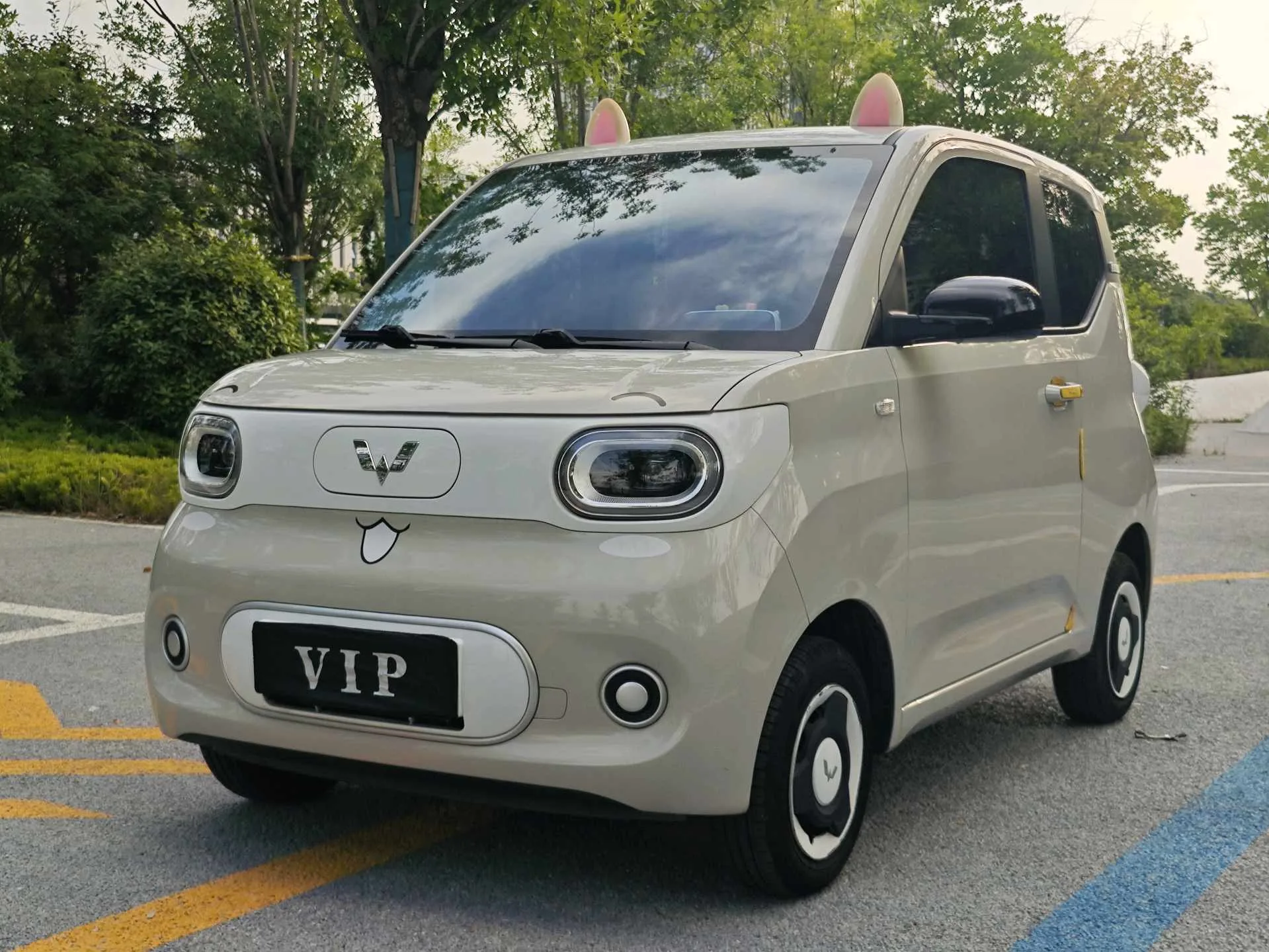 Wuling 2024 Hongguang MINI EV 215km Youth Edition Automatic