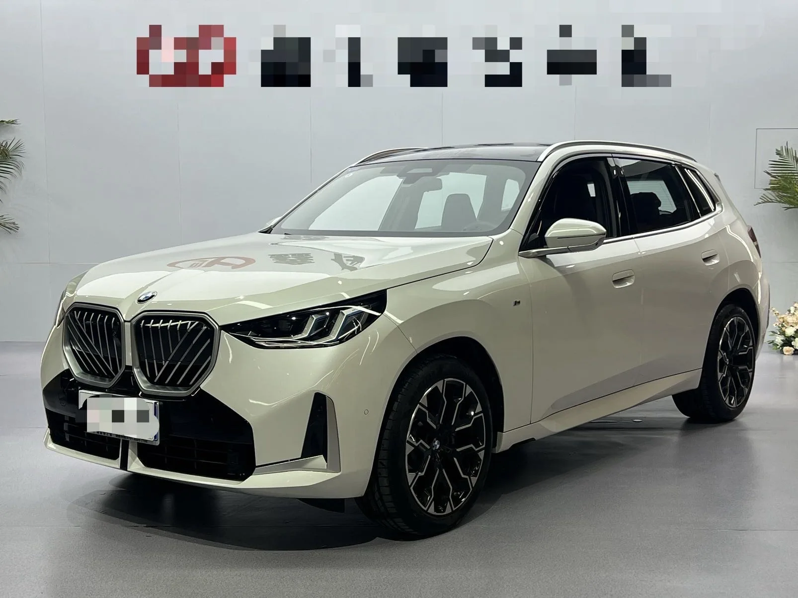 2025 BMW X3 xDrive30L 2,0 Т Роскошь М Спорт Тень Версия Автоматический