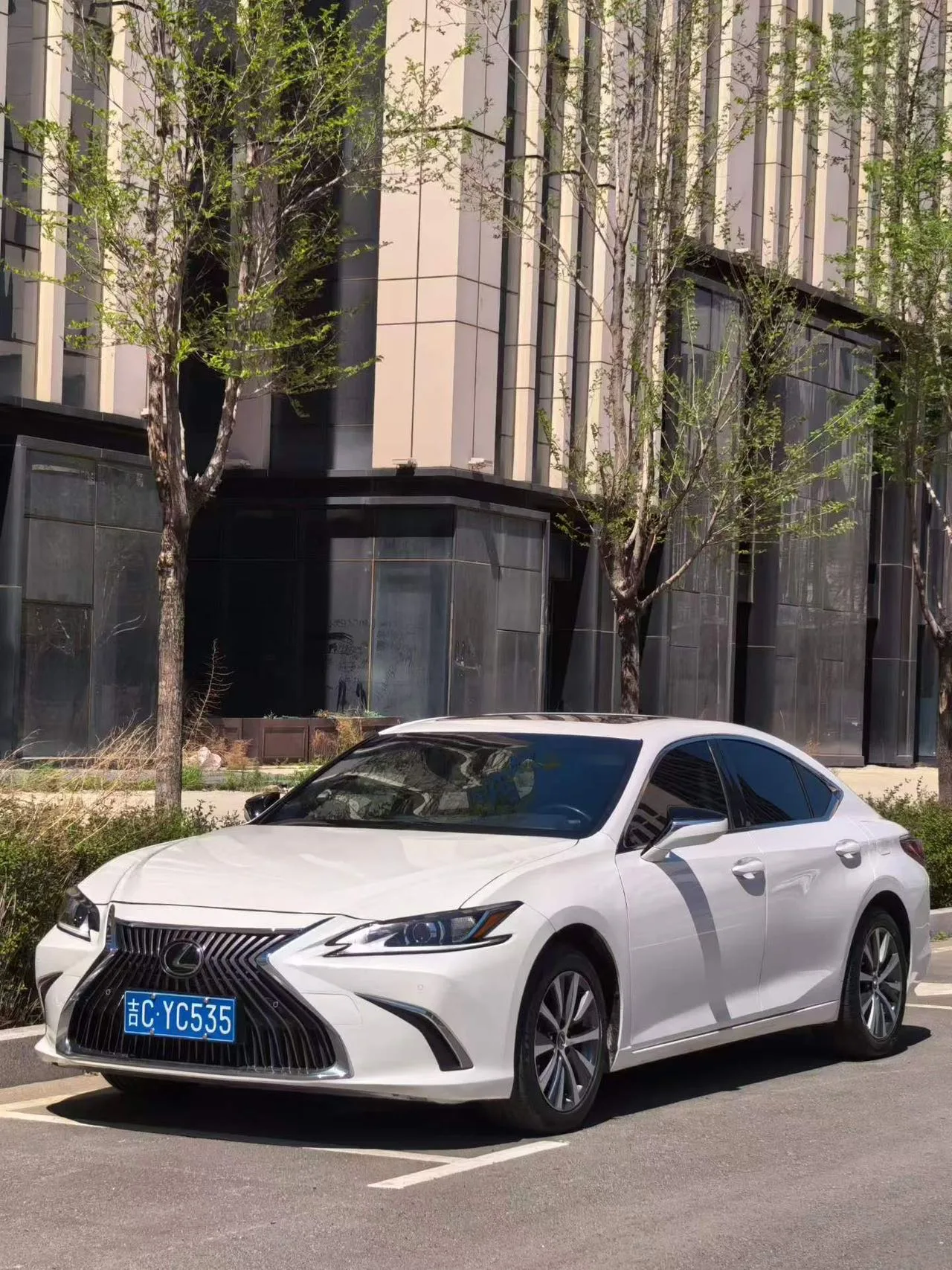 Lexus ES 2020 200 Excellence Edition