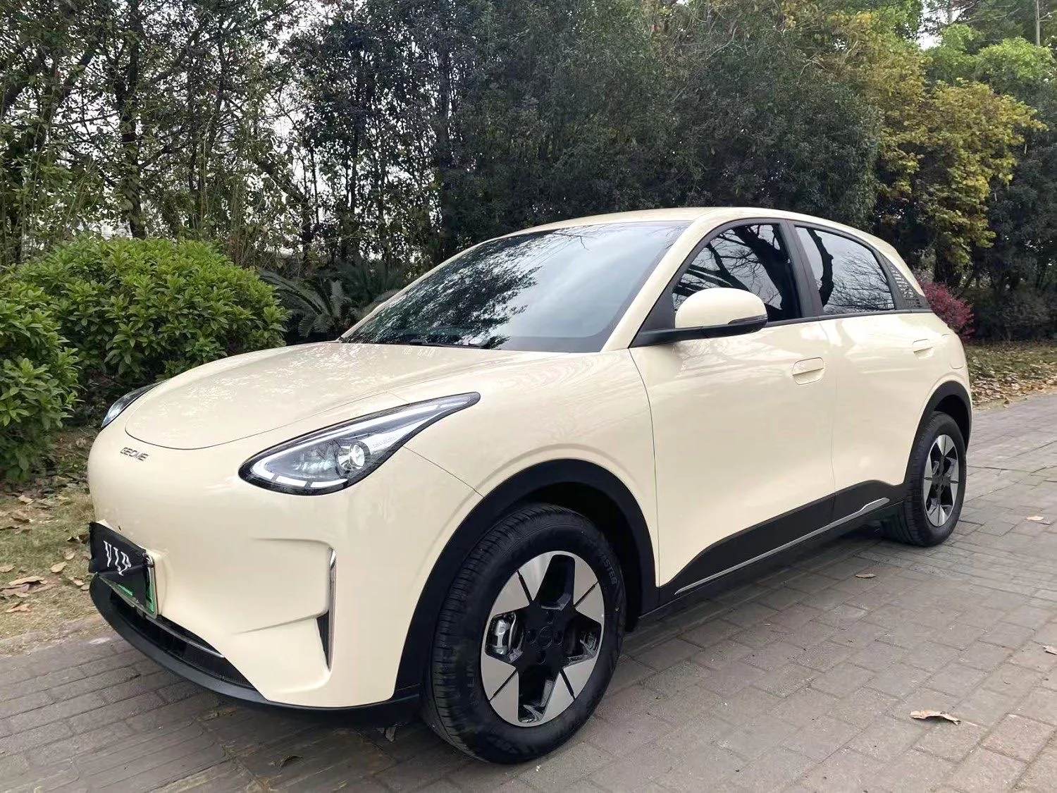 Star Wish 2025 310km Dream Edition