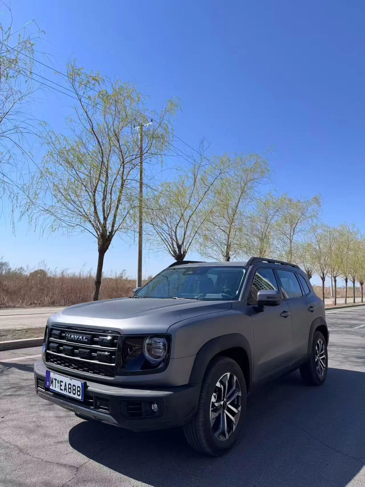Haval 2026 Big Dog 1.5T Labrador Edition Automatic