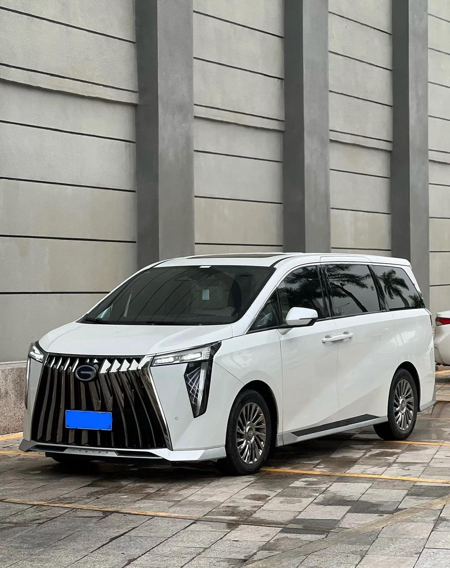 Trumpchi M8 2024 Hybrid Series 2.0TM High-Spec Version
