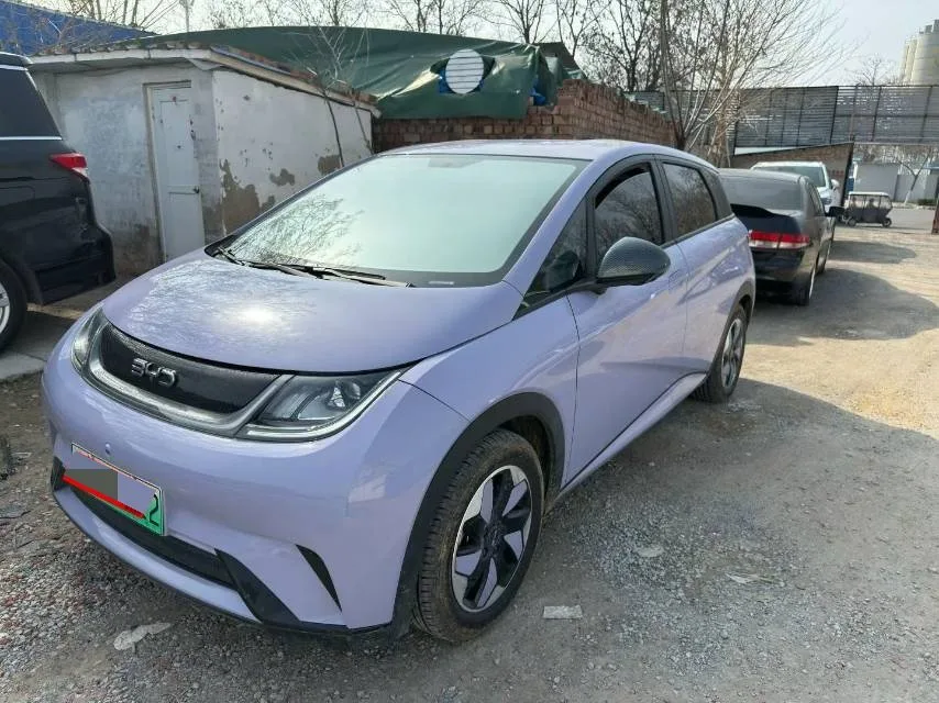 BYD 2023 Dolphin 420km Fashion Edition Automatic
