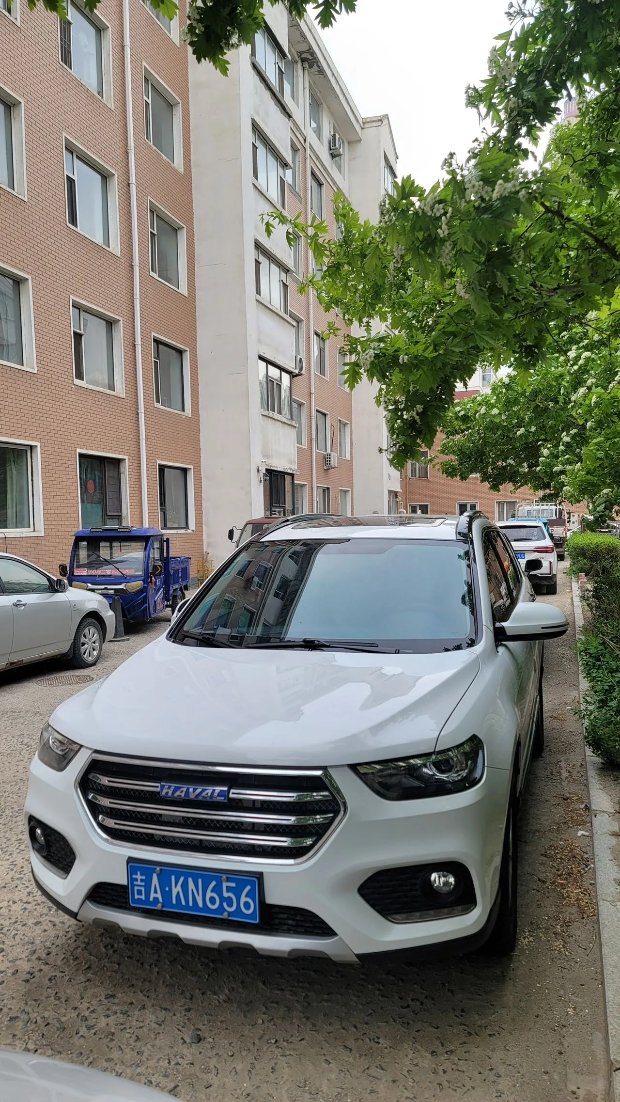 Haval H6 2018 Blue Label Sport Edition 1.5T Automatic 2WD Elite