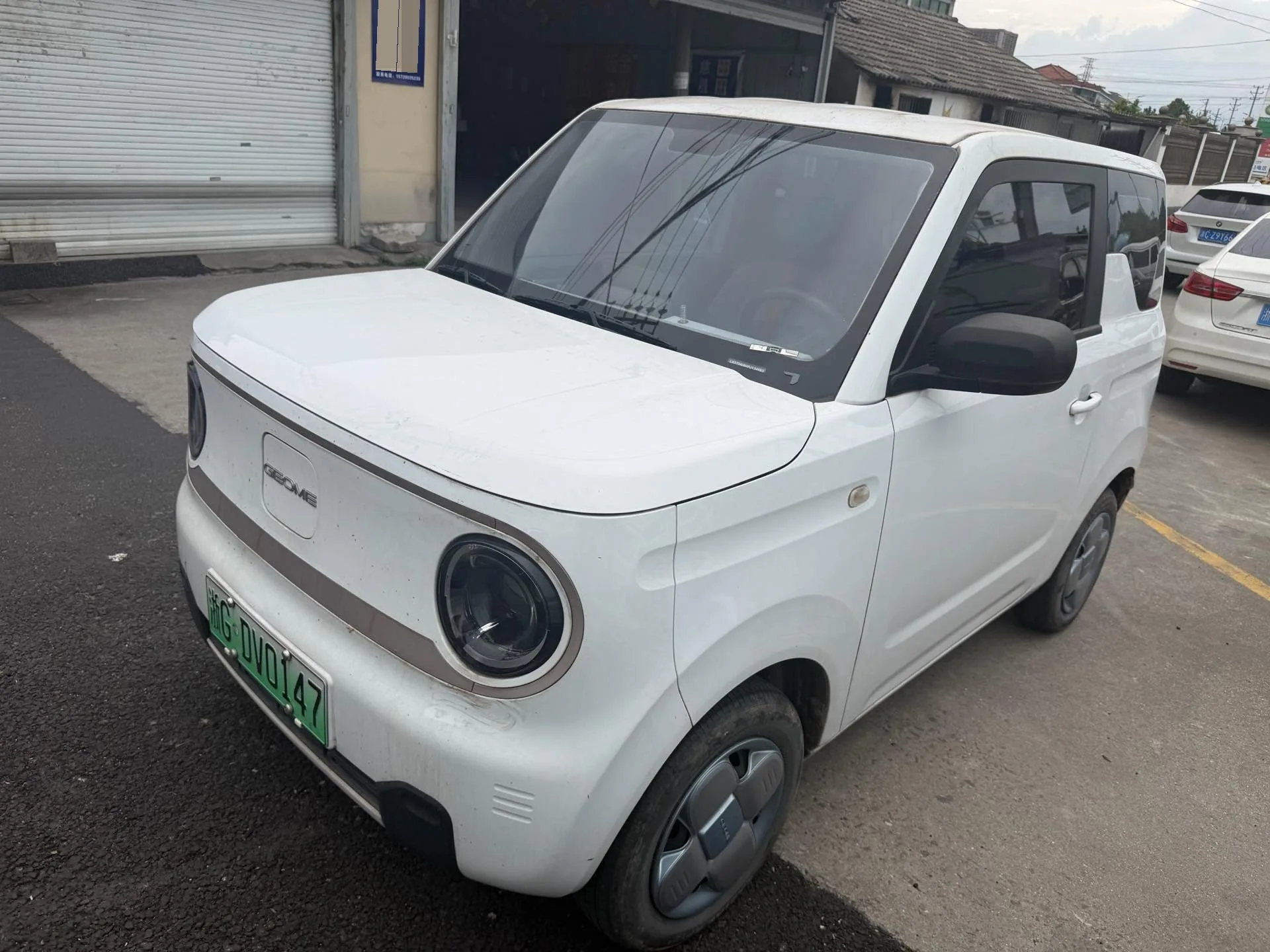 Panda 2023 Panda Mini 200km Endurance Bear