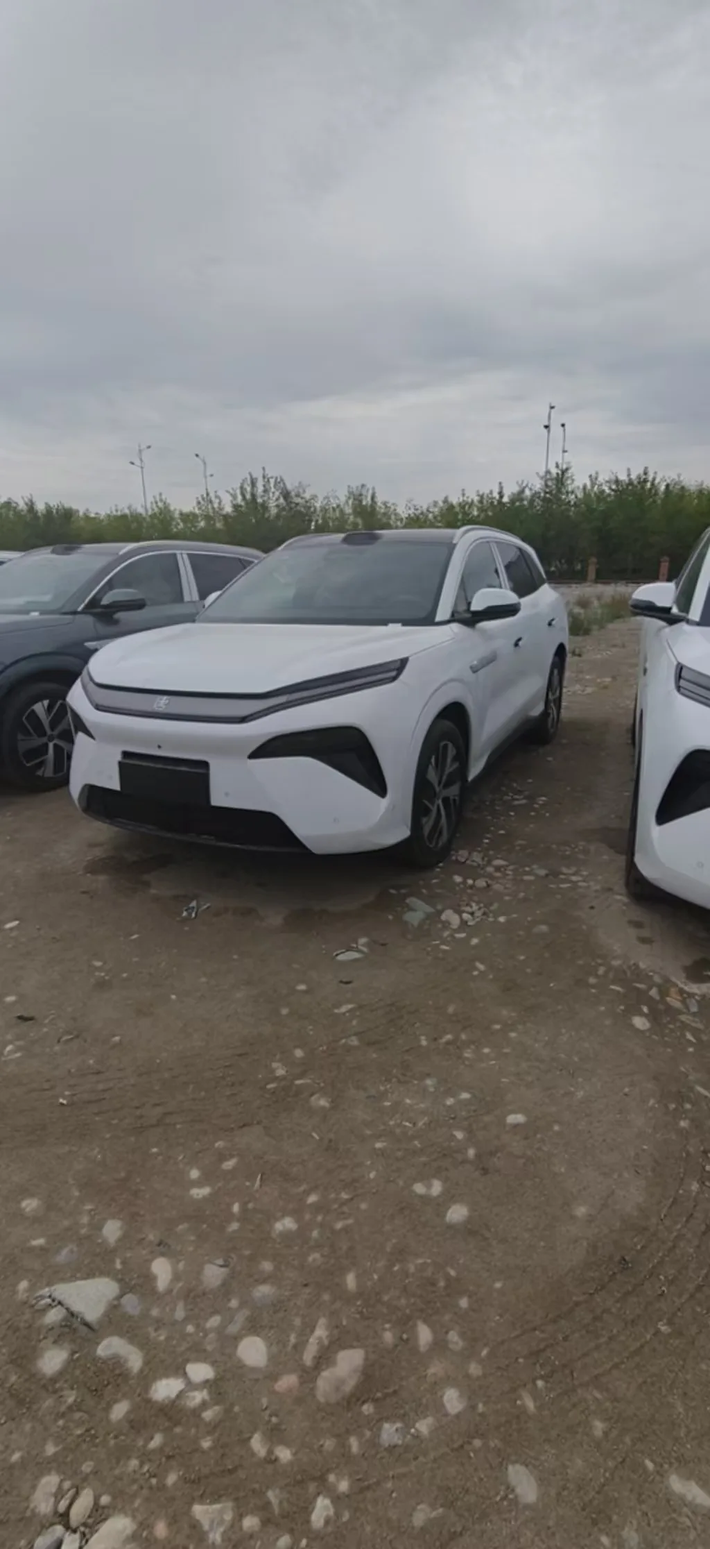 Tang L 2025 DM 215KM LiDAR Flagship Edition