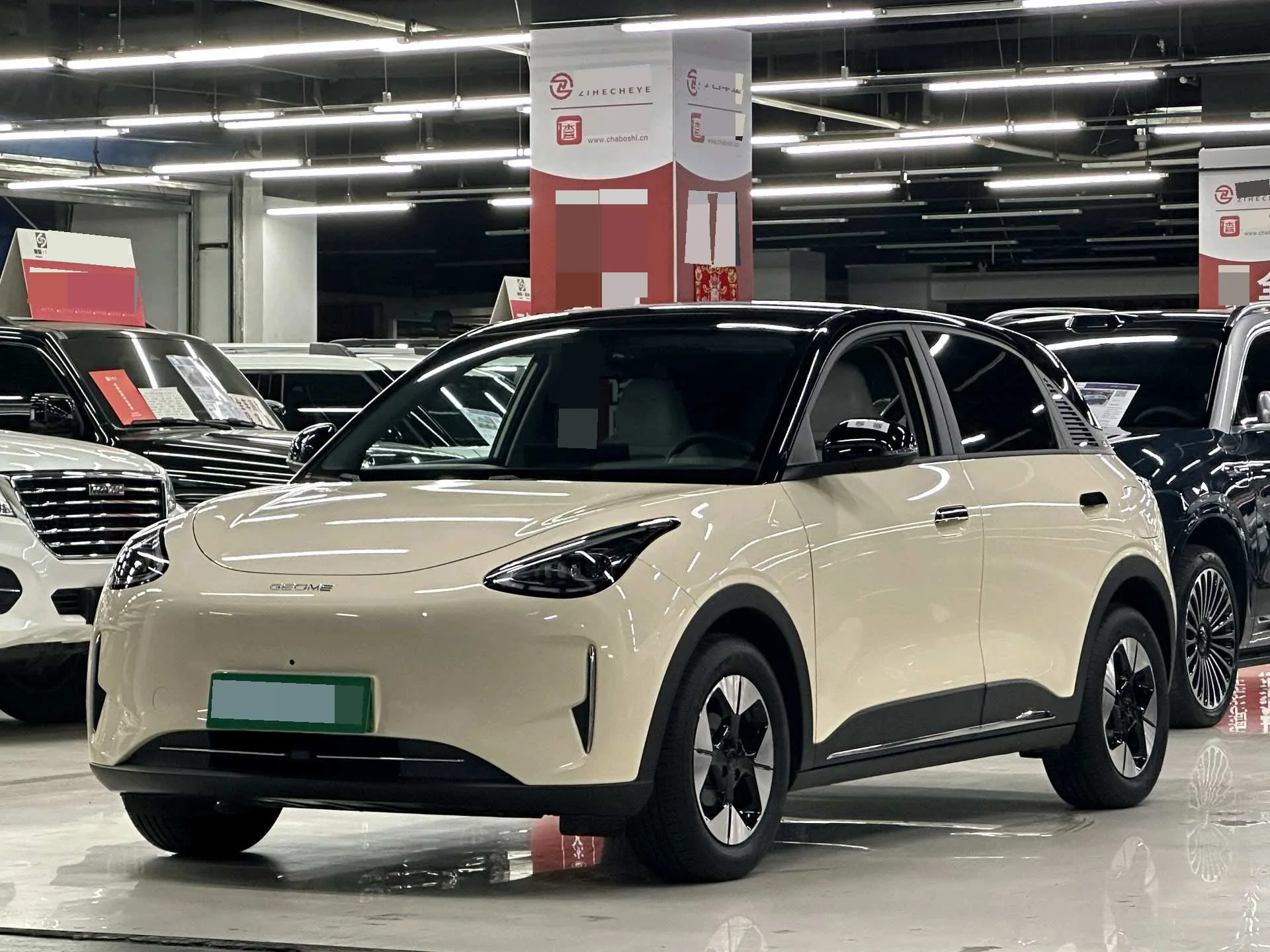 Star Wish 2025 310km Dream Edition