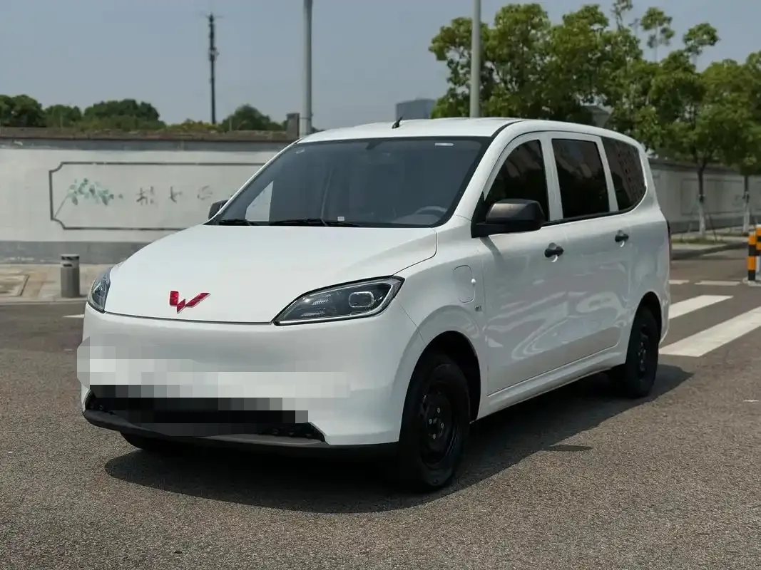 Wuling Hongguang New Energy 2024 Pure Electric Version
