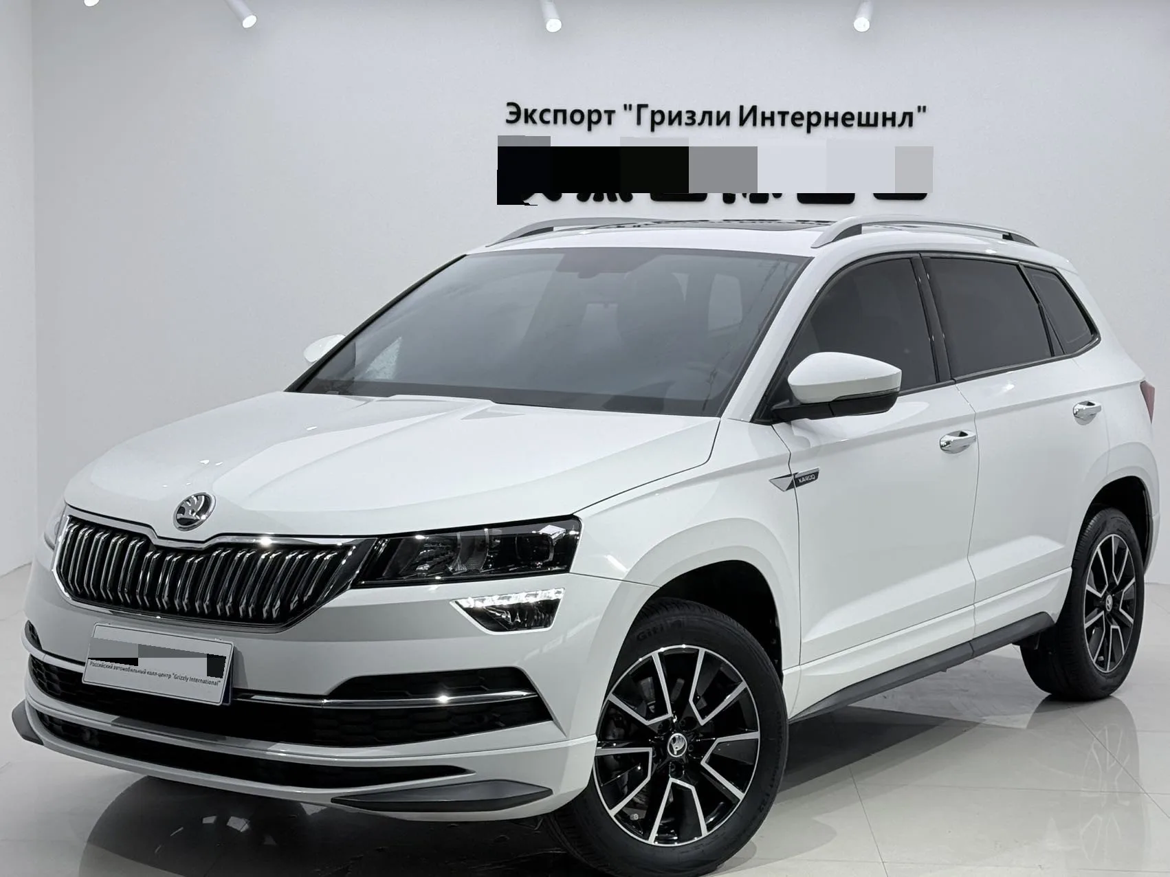 Karoq 2023 TSI280 Premium Edition