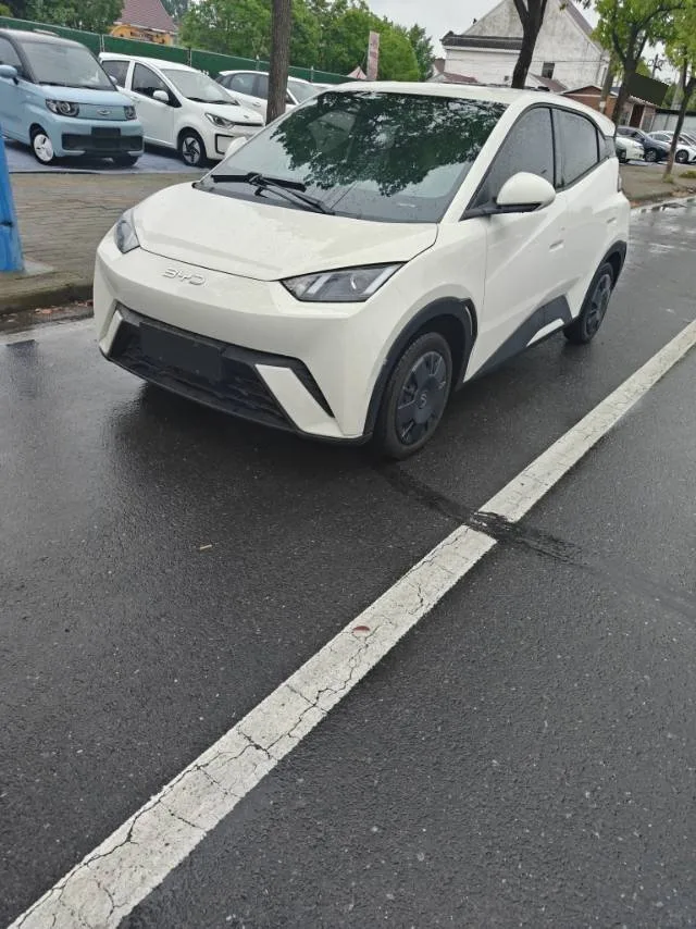 BYD 2023 Seagull Vitality Edition Automatic