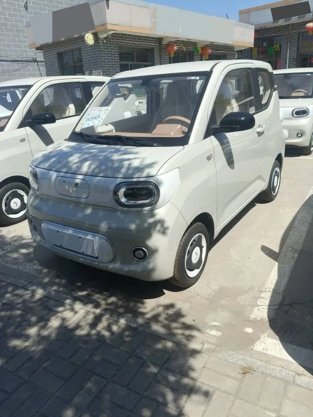 Wuling 2024 Hongguang MINI EV 215km Youth Edition Automatic