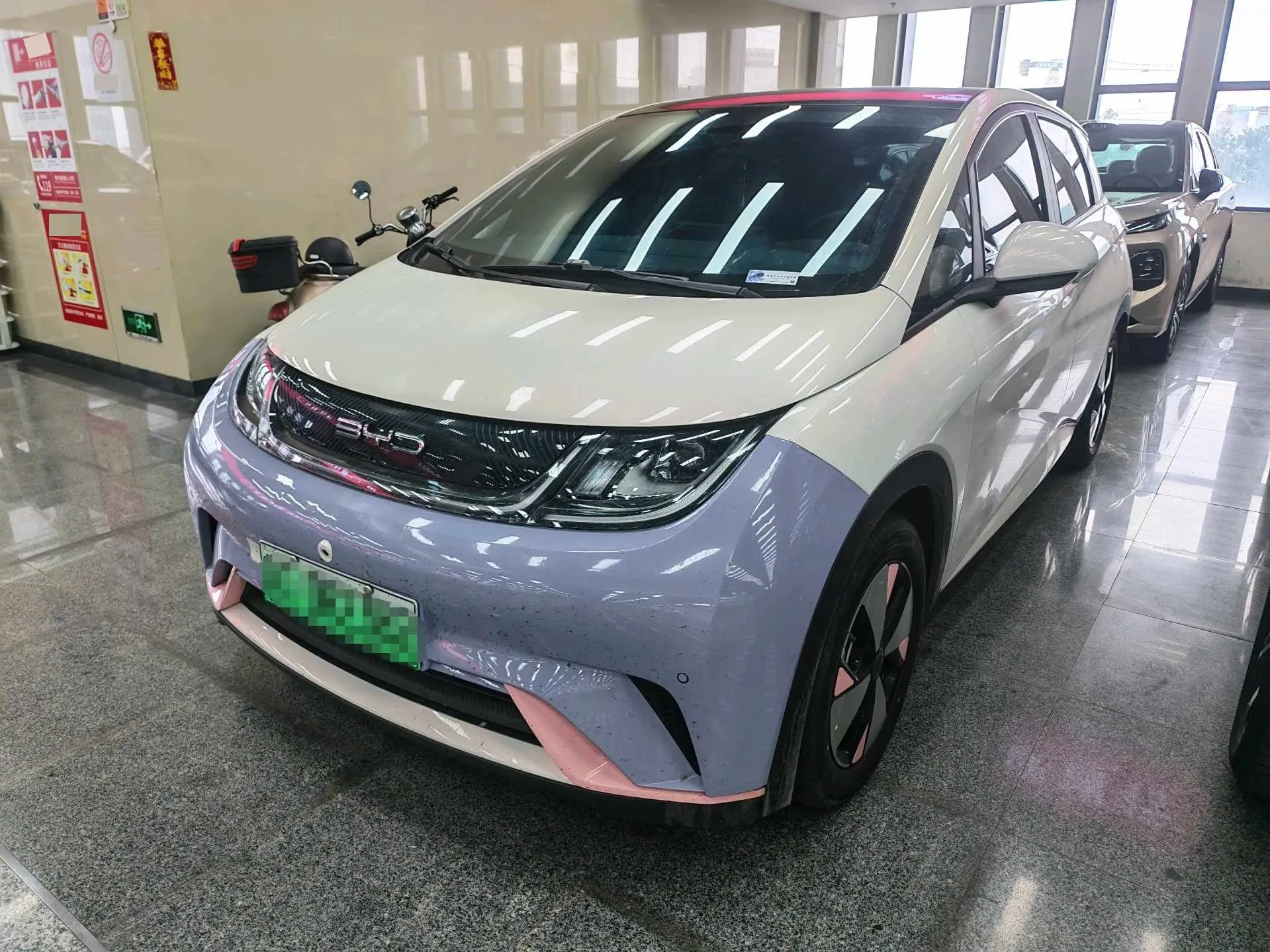 BYD 2023 Dolphin 420km Fashion Edition Automatic