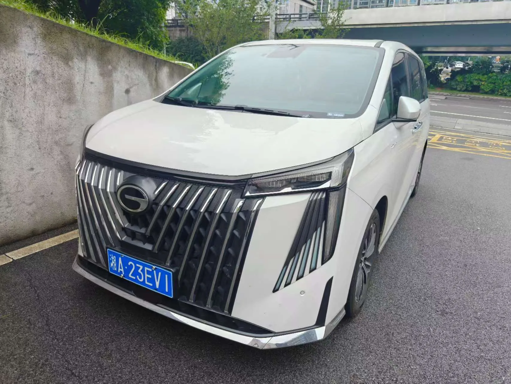 Trumpchi M8 2024 2.0TGDI High-Spec Version