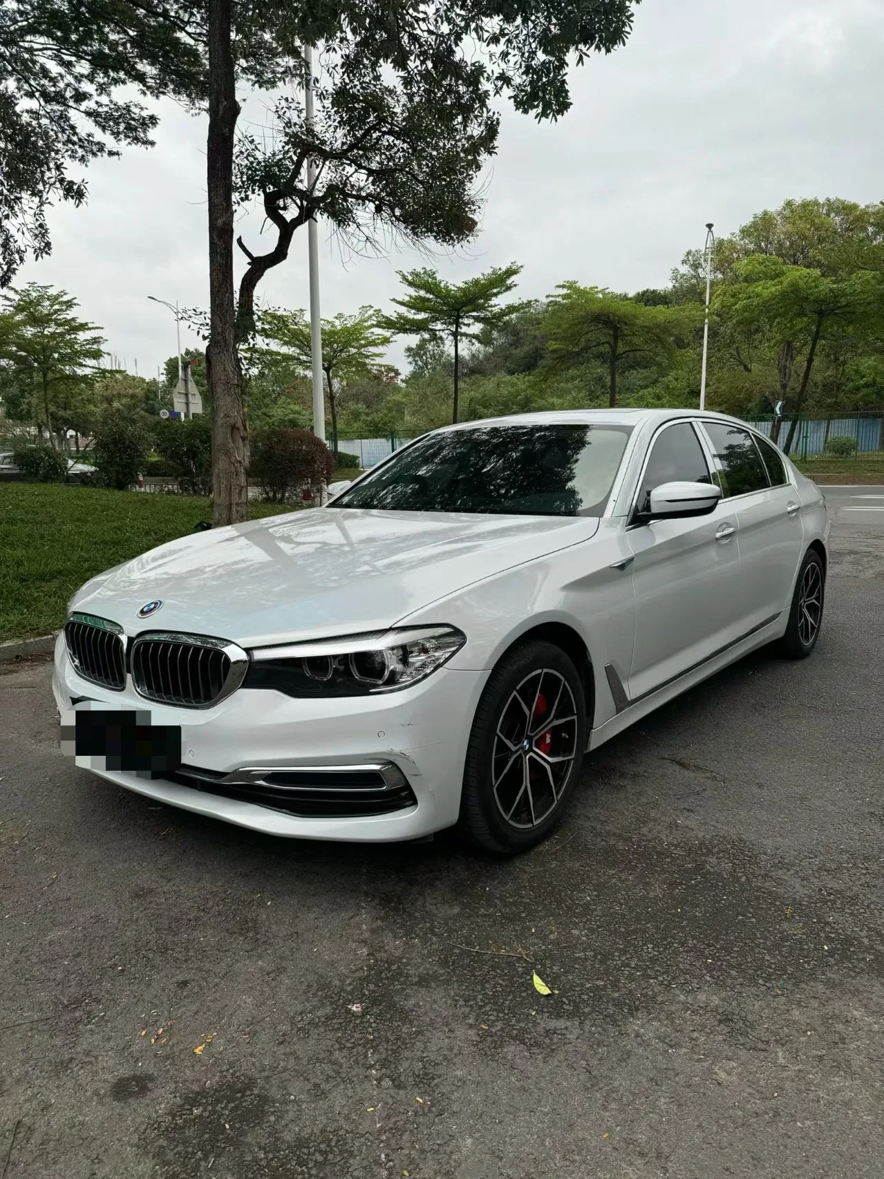 2019 BMW 5 Series 525Li Luxury Package