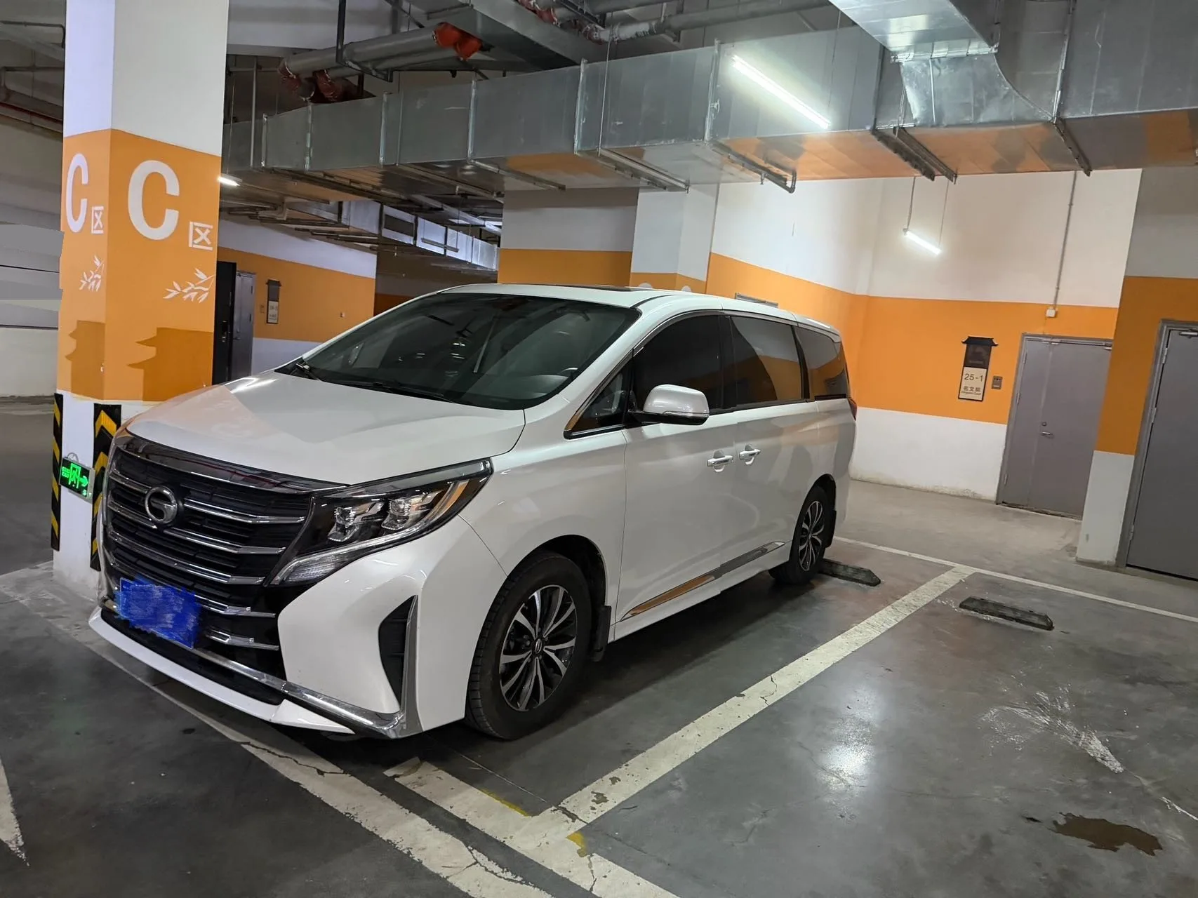 Trumpchi 2024 M8 2.0T 390T Leader Series Luxury Edition Automatic