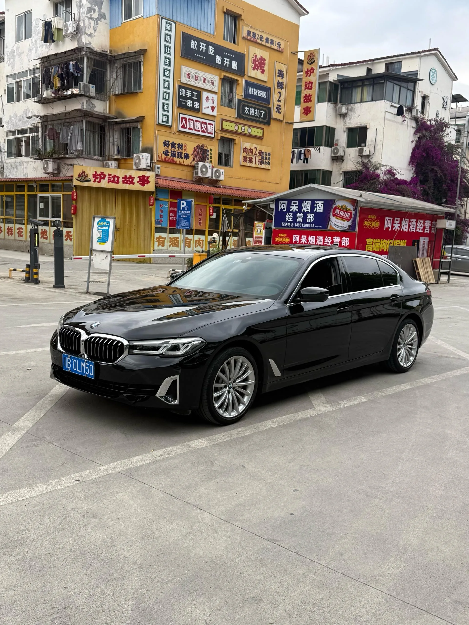 2021 BMW 5 Series 530Li Executive Luxury Package