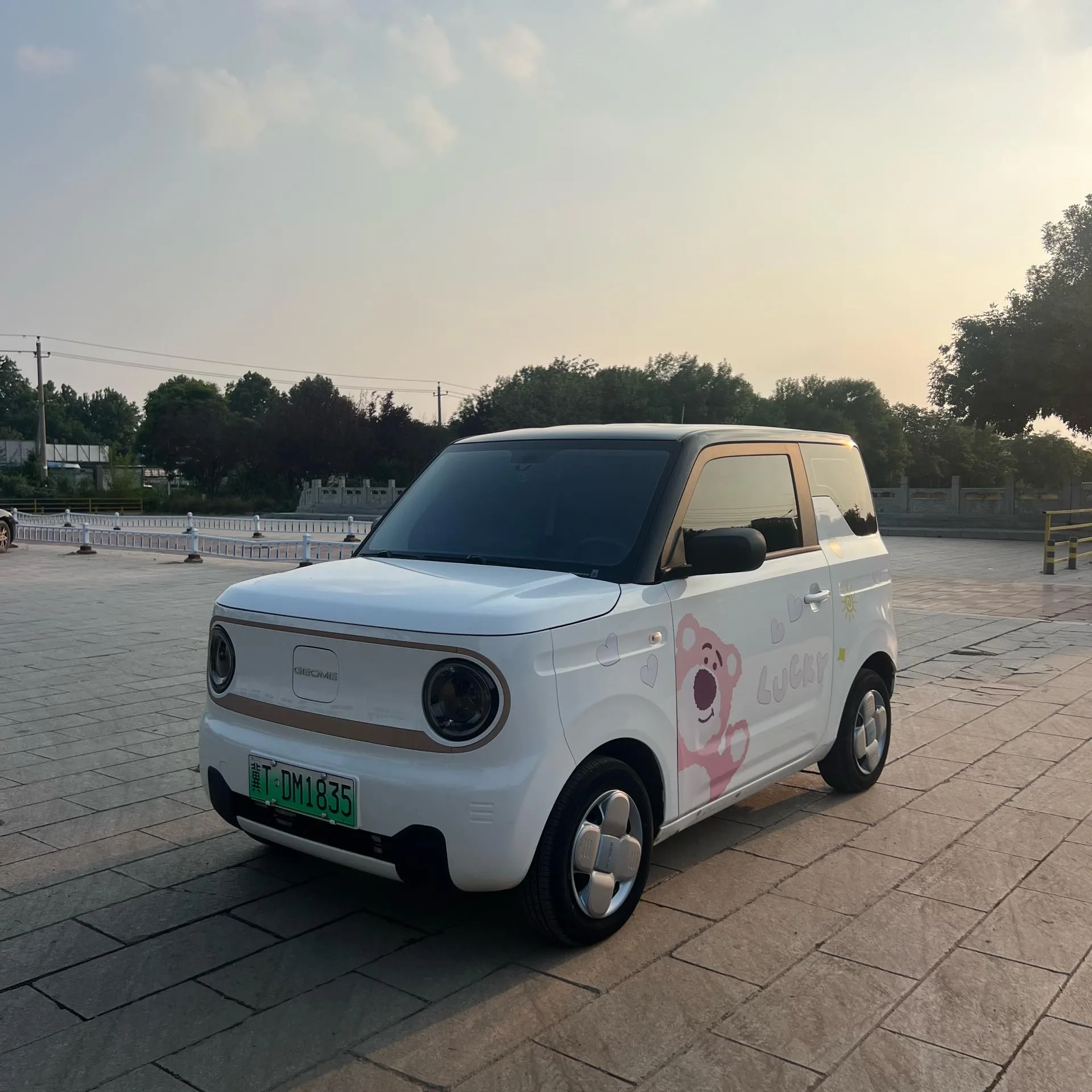 Panda 2023 Panda Mini 200km Endurance Bear