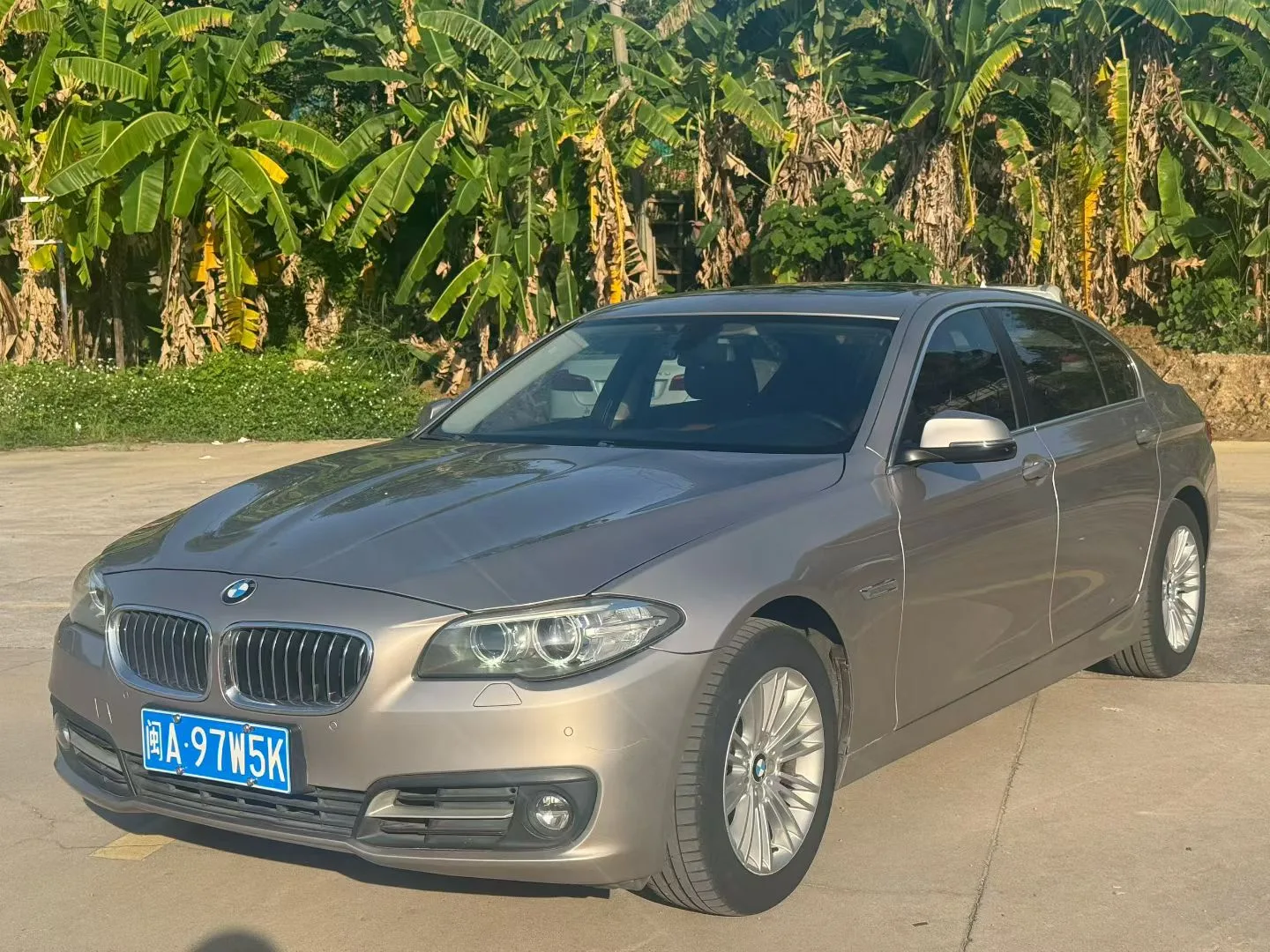 2014 BMW 5 Series 525Li Leading Edition