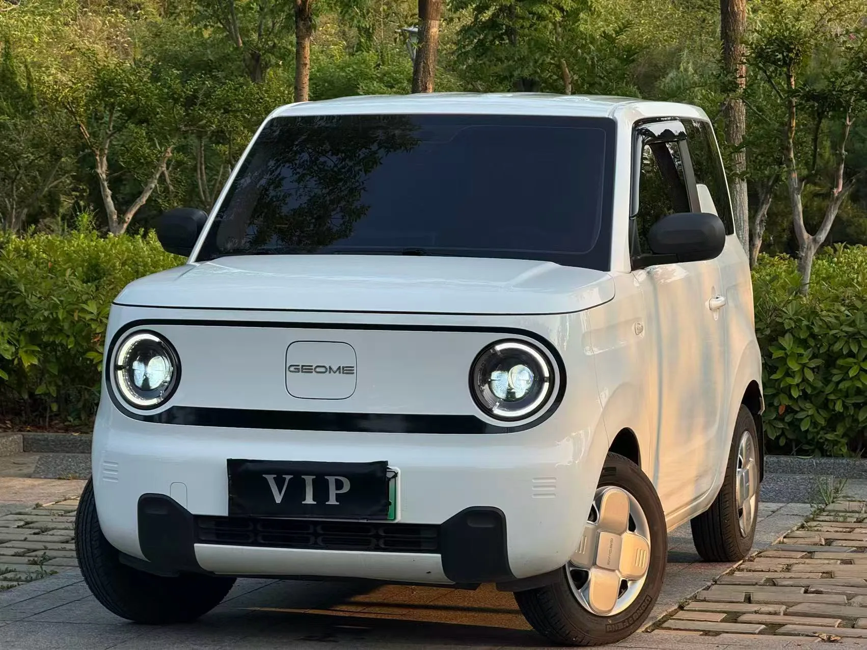 Panda 2024 Panda Mini 200km Endurance Bear