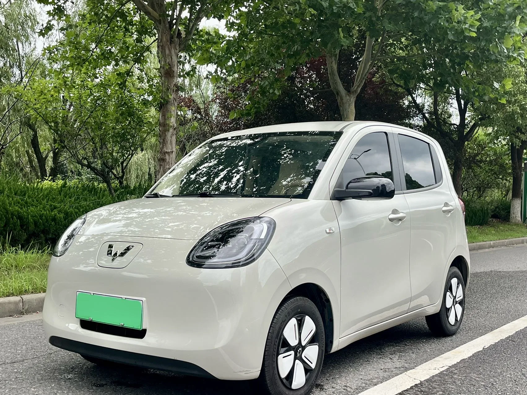Wuling 2025 Hongguang MINI EV Four-Door Advanced Model Automatic