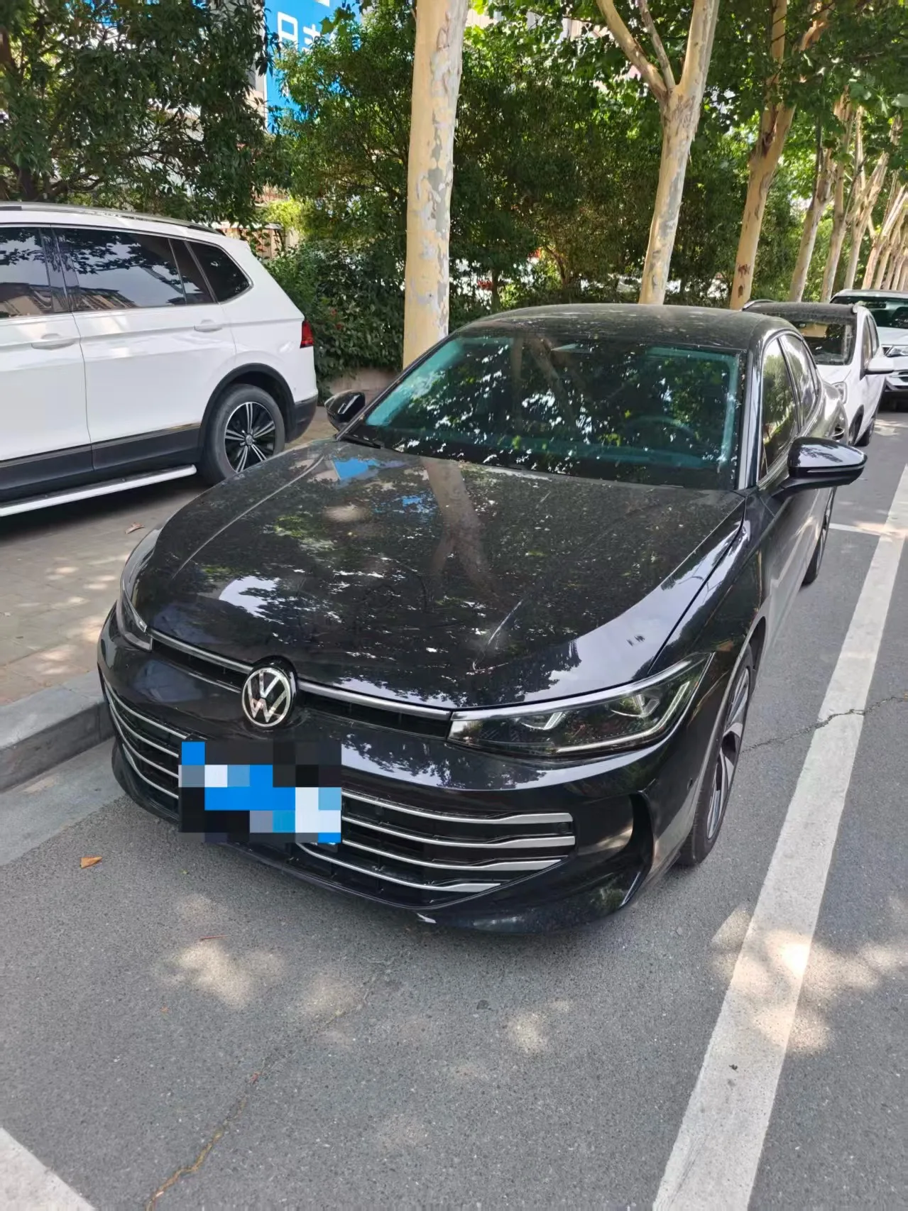 Volkswagen 2025 Passat Pro 2.0 TSI 380 TSI Longyun Edition, Automatic Transmission