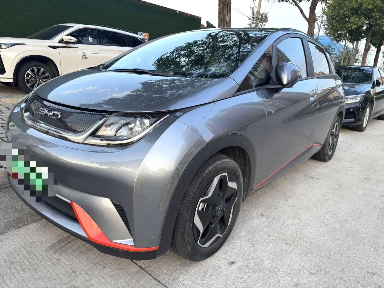 Dolphin 2021 405km Freedom Edition