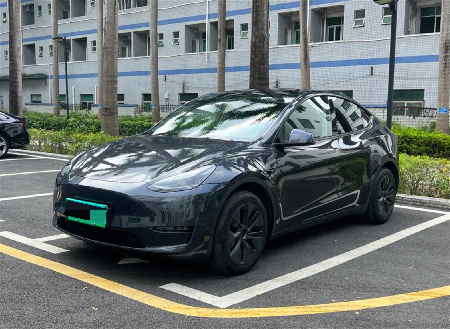 Model Y 2024 Rear-Wheel Drive