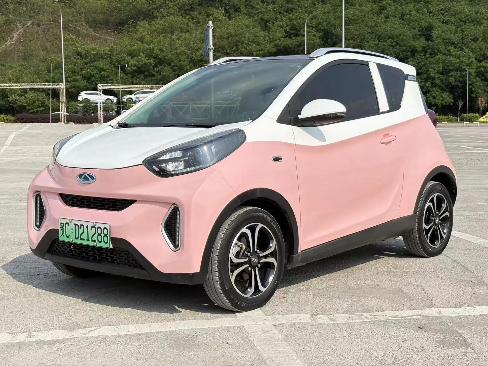 Ant 2019 4-Seater Smart Edition 35kWh
