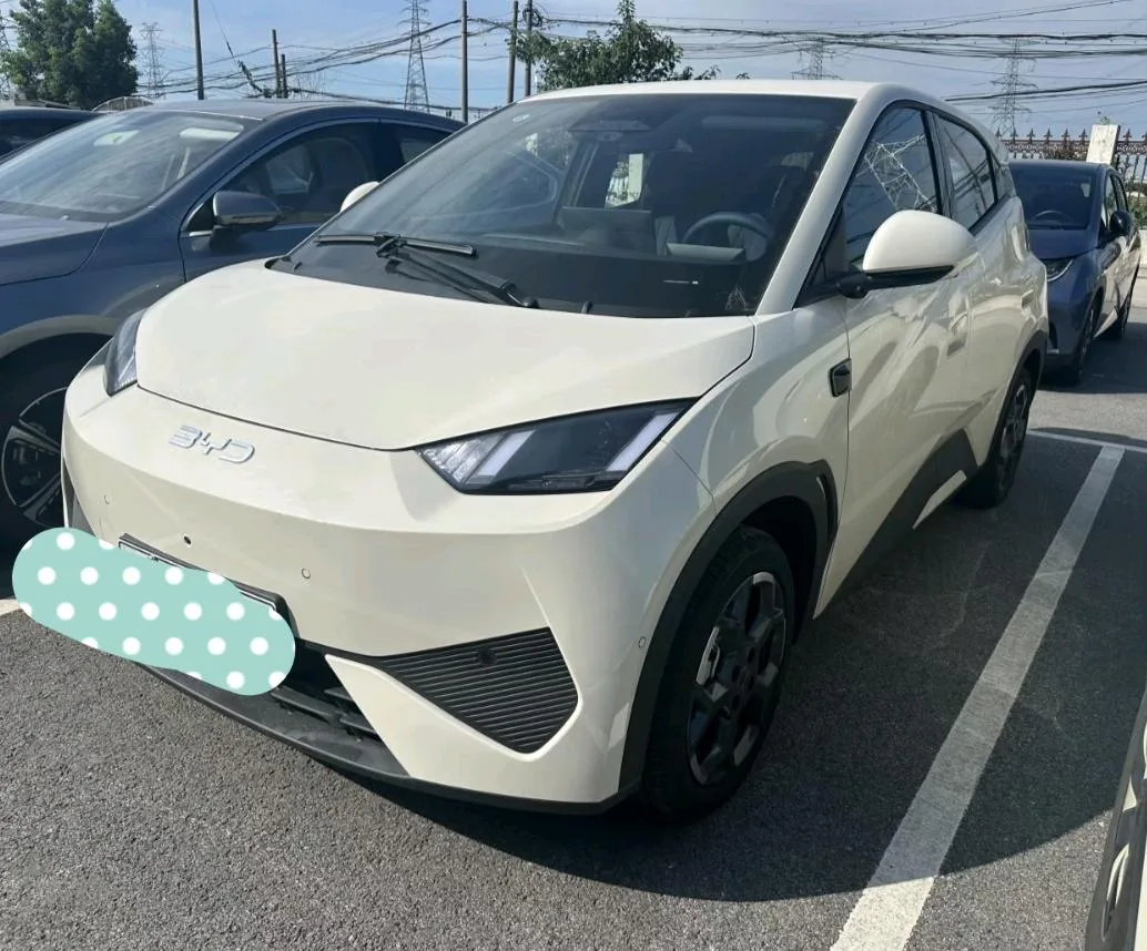 BYD 2025 Seagull 405km/h Flying Edition Automatic