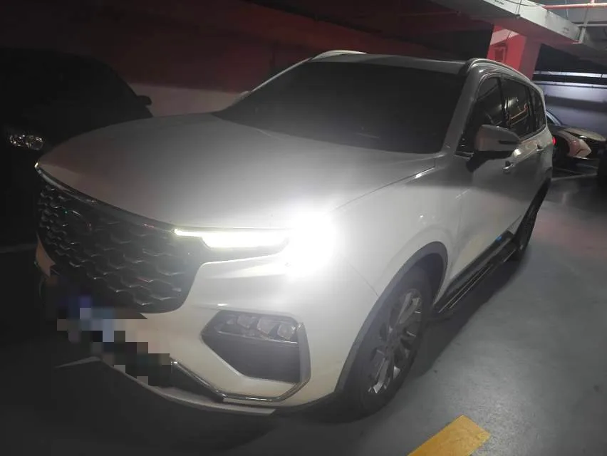 Lingyu 2021 EcoBoost 225 Premium Edition 6-Seater