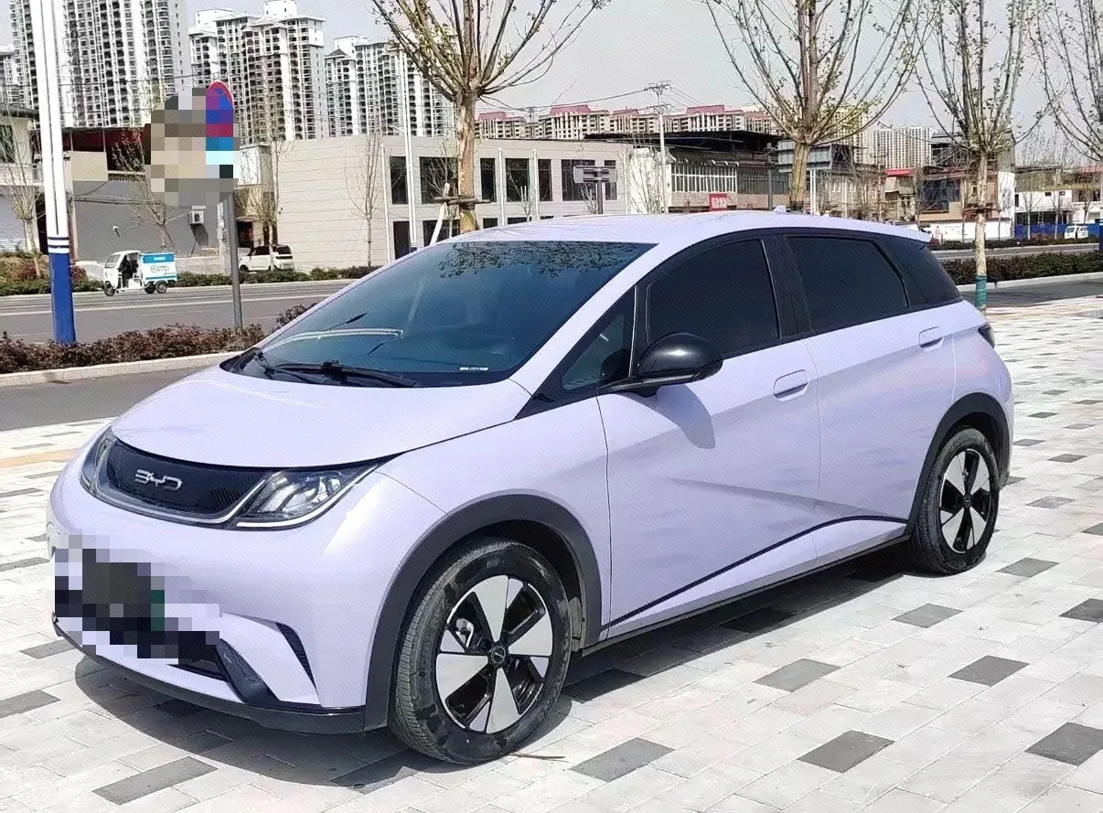 BYD 2023 Dolphin 420km Freedom Edition Automatic