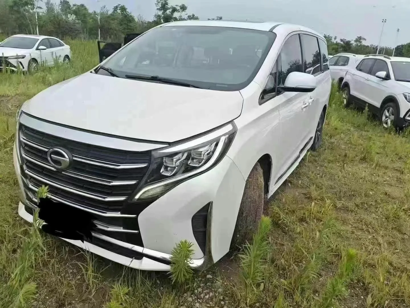 Trumpchi M8 2021 Leading Series 390T Luxury Edition