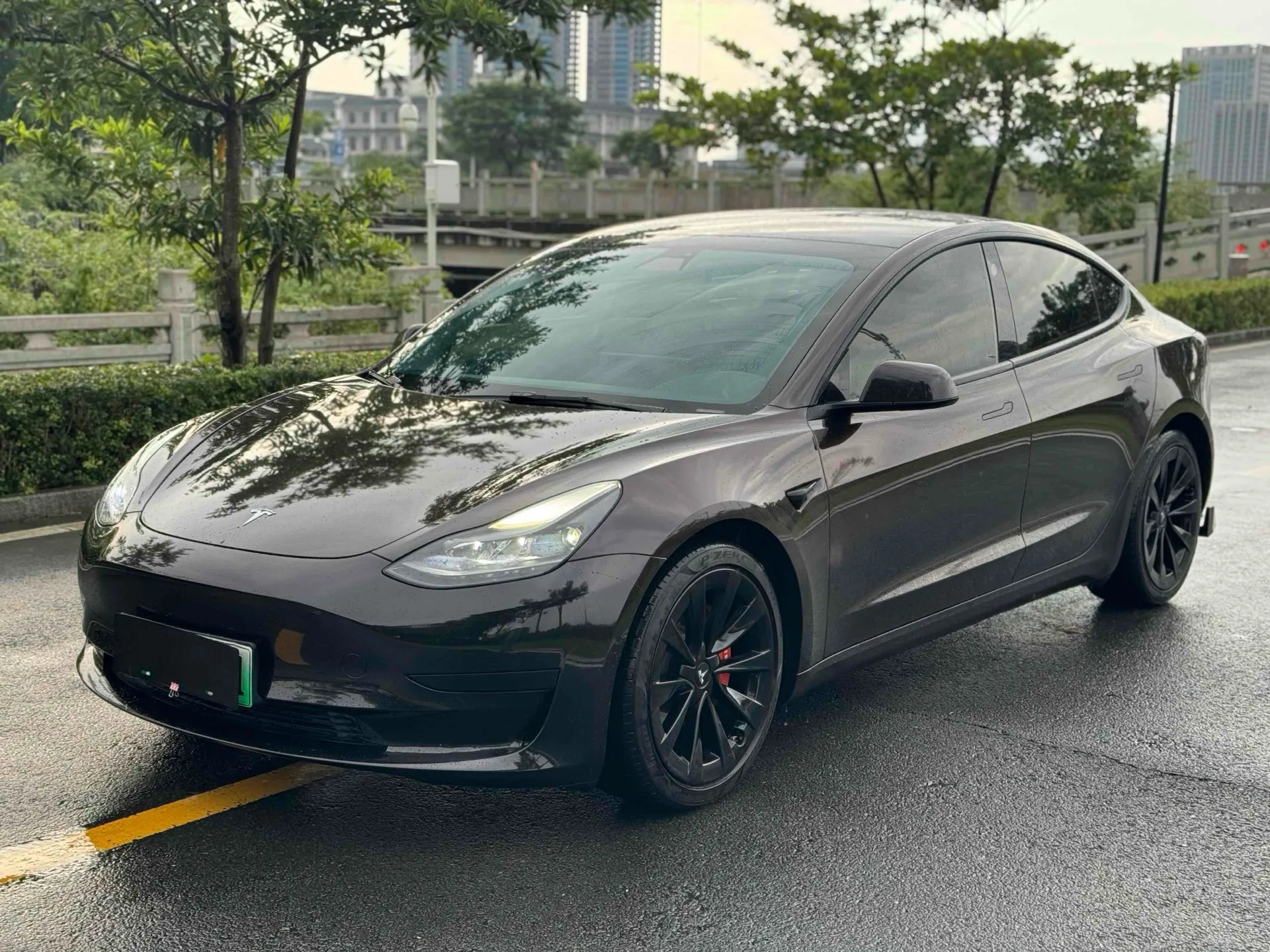 Model 3 2021 Facelift Standard Range Rear-Wheel Drive Upgrade Version 3D1