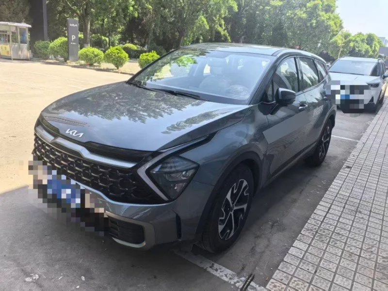 Kia 2025 Lion Platinum Edition 1.5T 2WD Premium Automatic