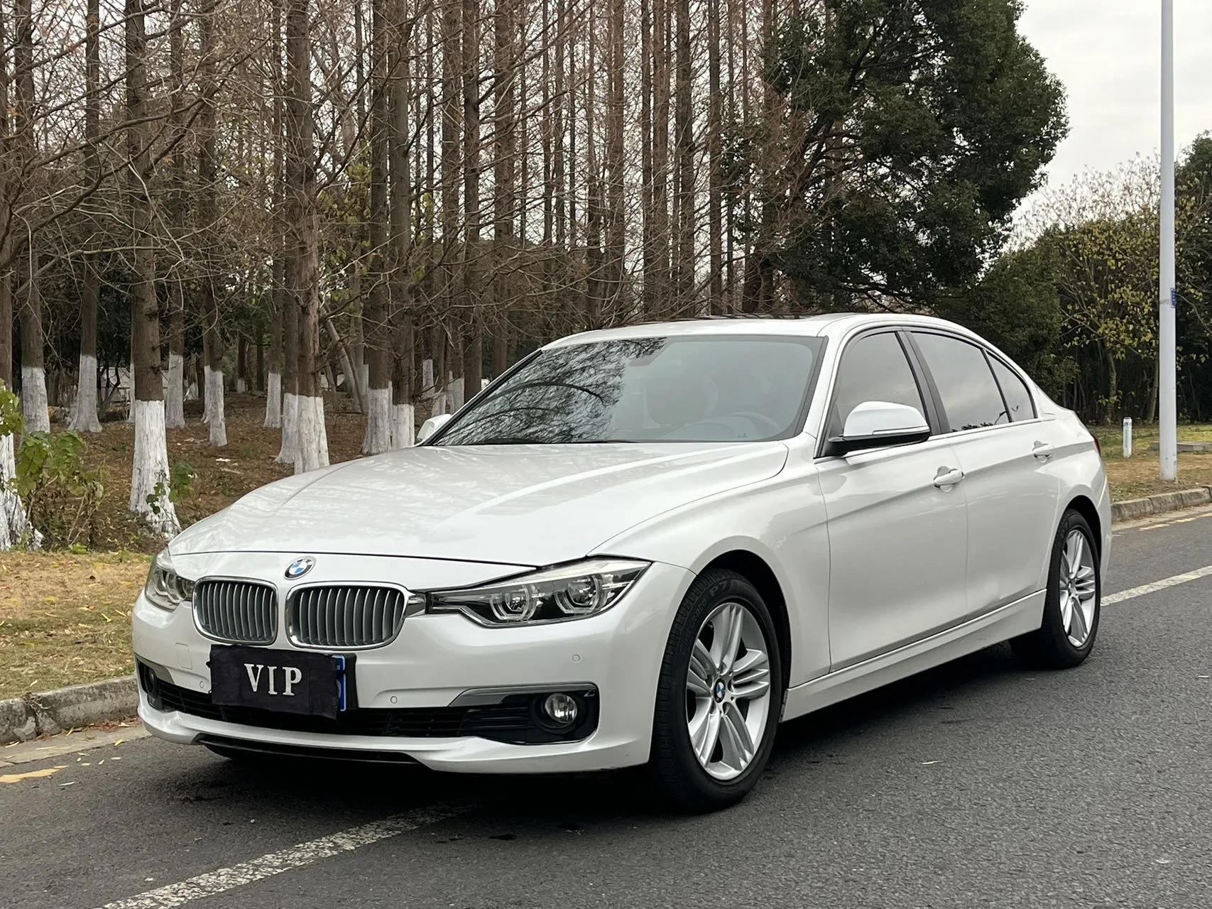 2018 BMW 3 Series 318Li