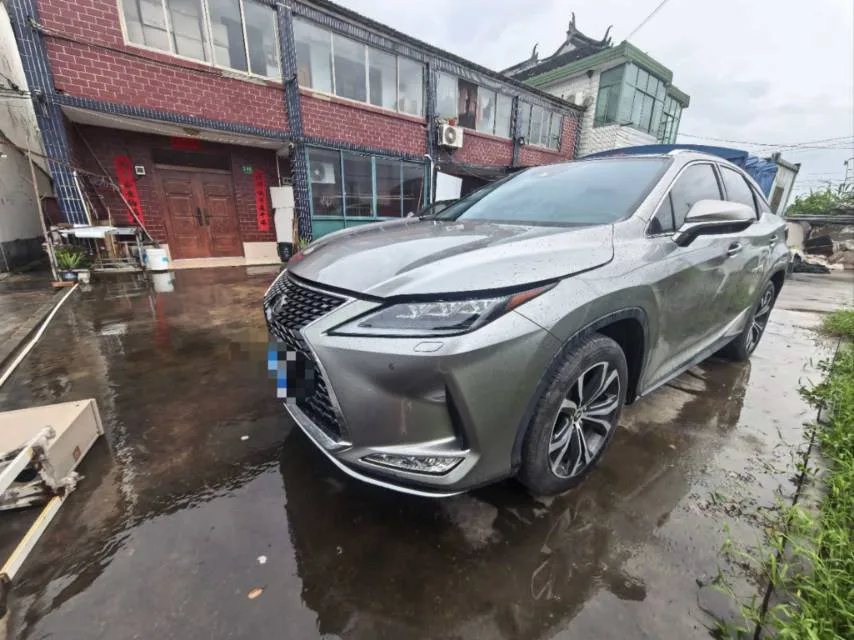 雷克萨斯 RX 2020 面部拉皮 300 全轮驱动 优雅的 版