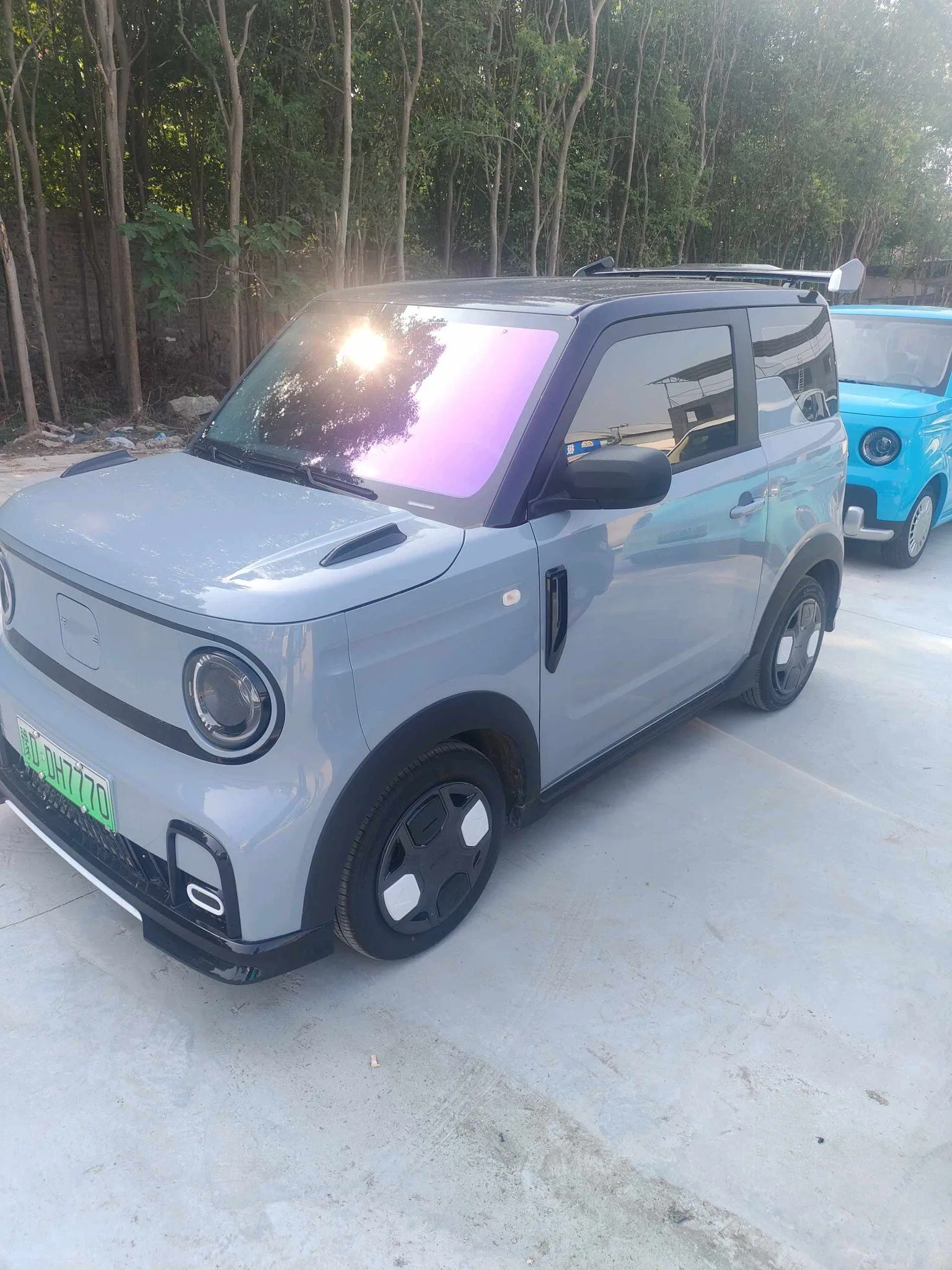 Geely 2025 Panda MINI 210km Panda Go-Kart Automatic