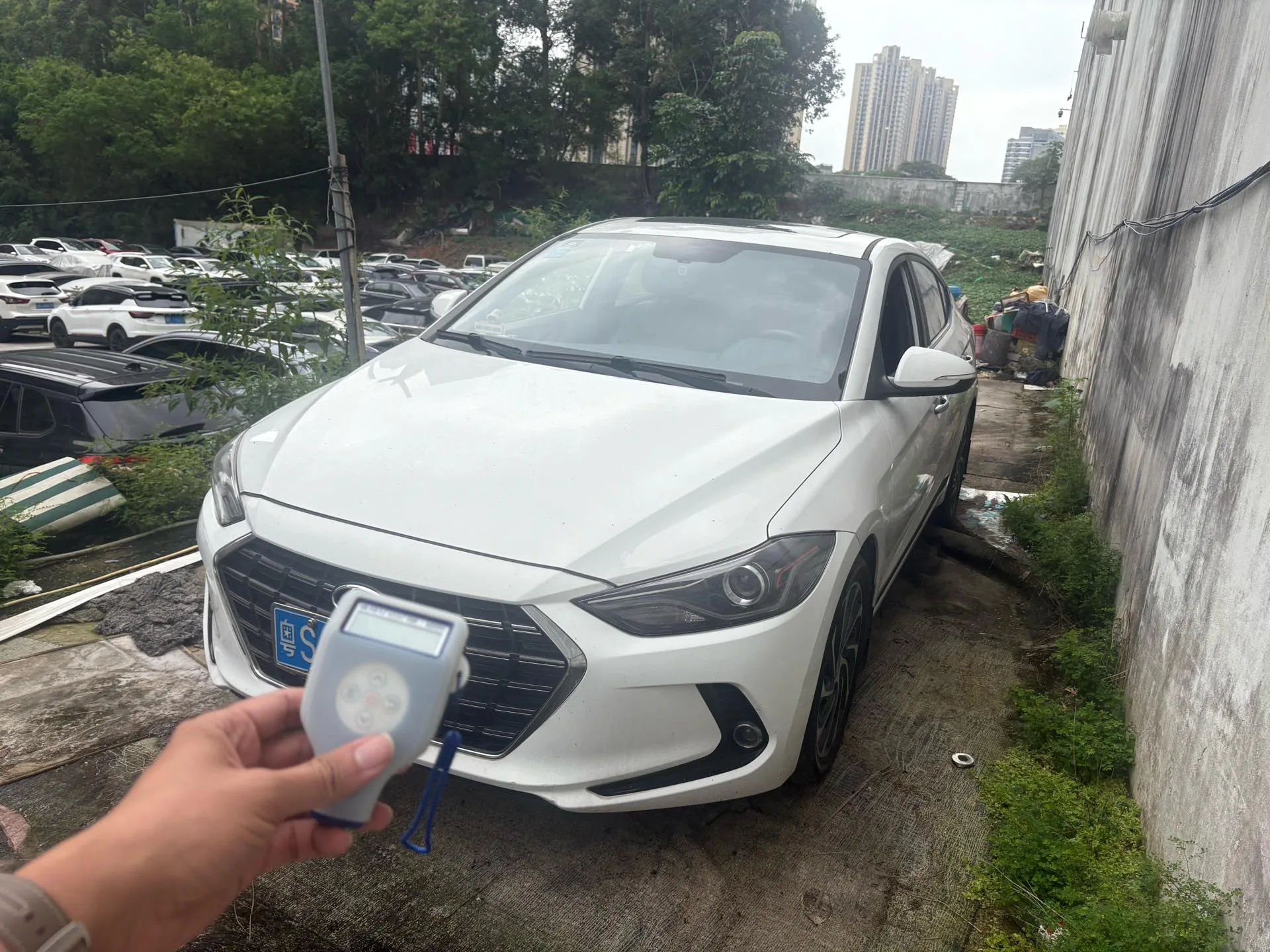 Hyundai Elantra 2019 1.4T Dual-Clutch Dynamic & Vitality Edition