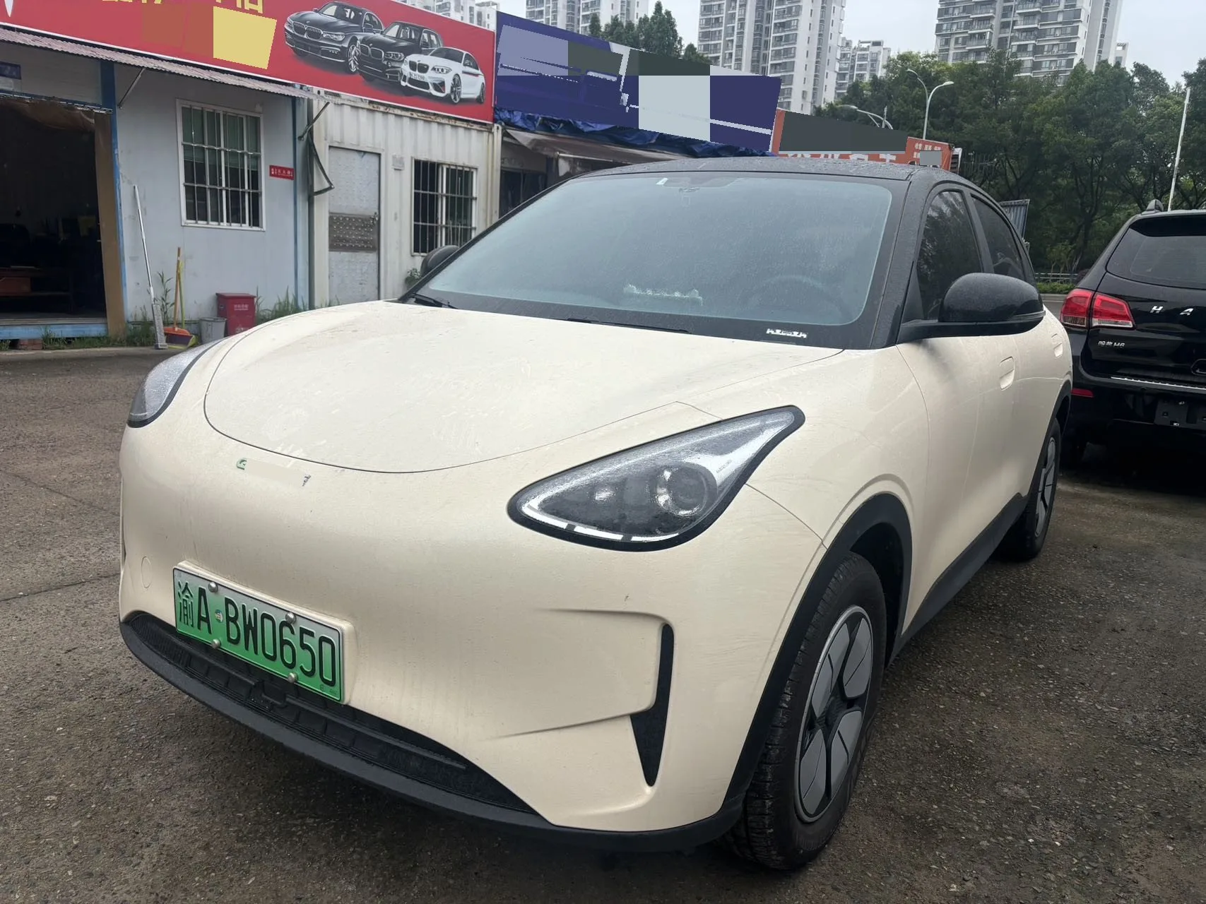 Star Wish 2025 310km Youth Edition