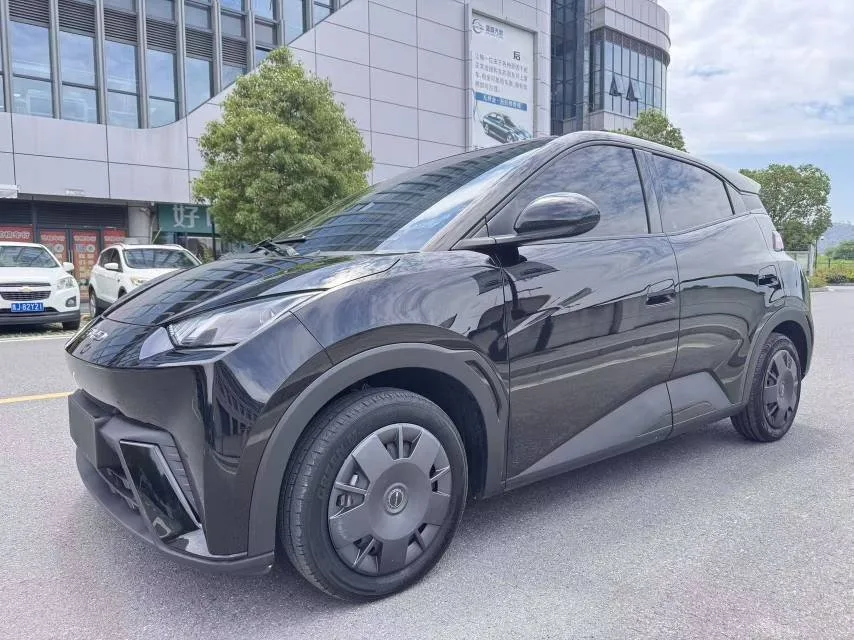 BYD 2023 Seagull Vitality Edition Automatic