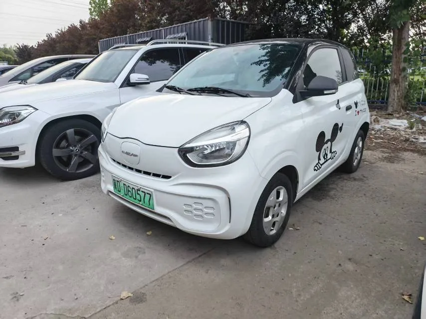 CLEVER 2022 Model 311km Energy Bobo Edition