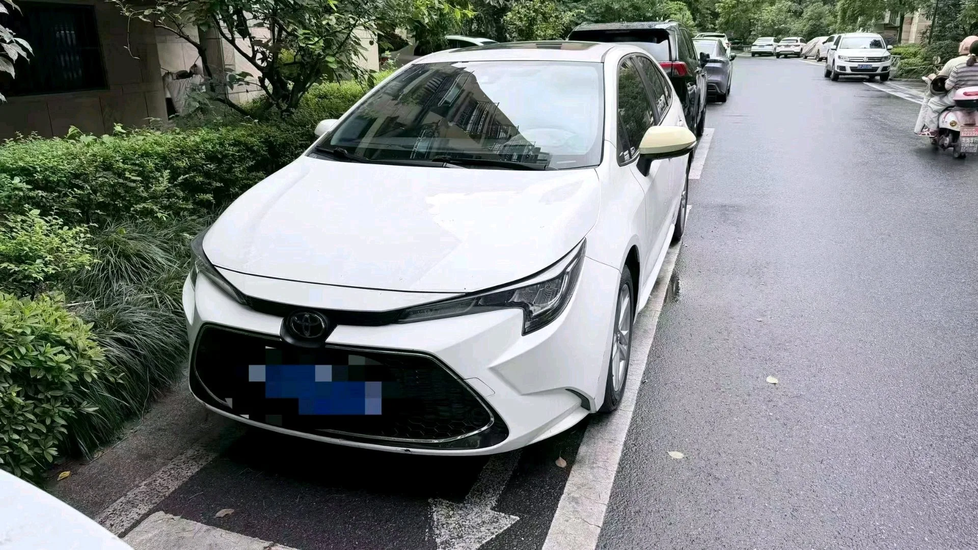 Levin 2022 185T CVT Luxury Edition