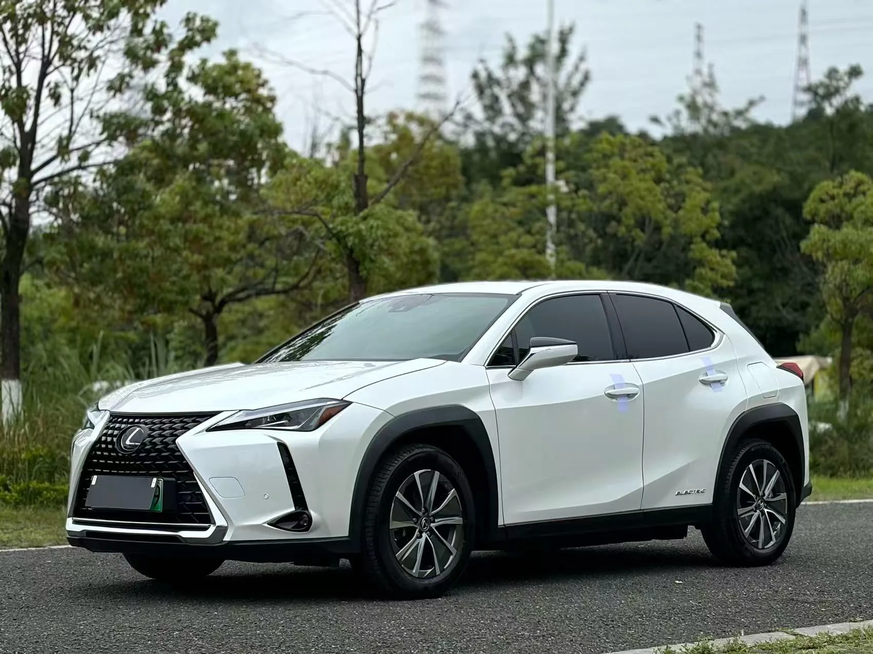 2020 Lexus UX Hybrid 300e Pure·Joy Edition