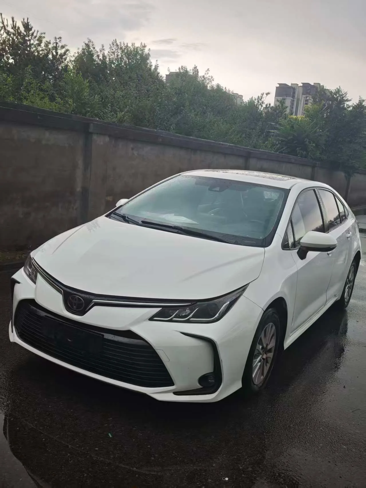 2019 Toyota Corolla 1.2T S-CVT GL-i Elite Edition