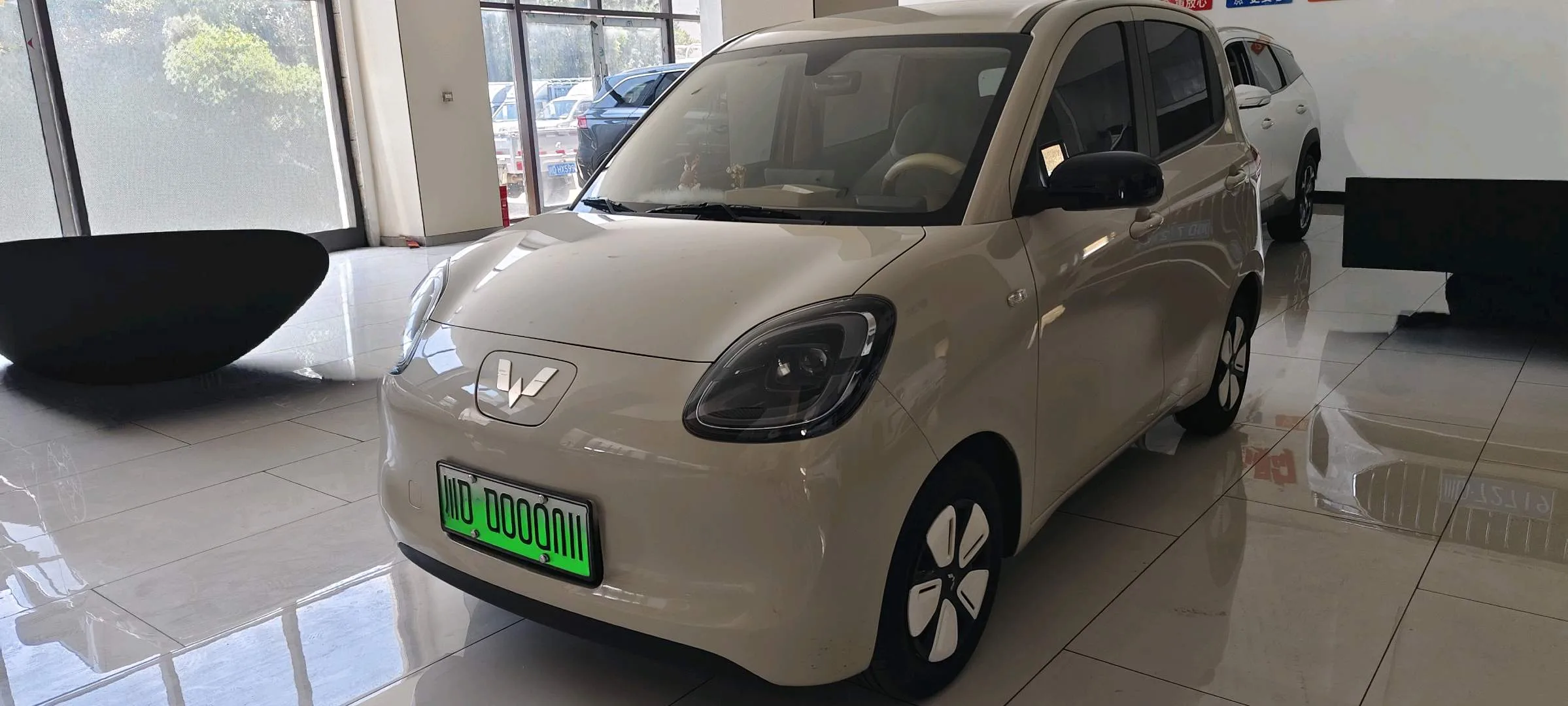Wuling Sunshine New Energy 2025 Model 201km Standard Edition
