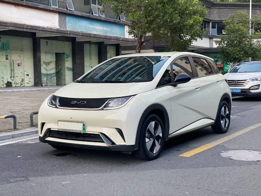 BYD 2023 Dolphin 420km Freedom Edition Automatic