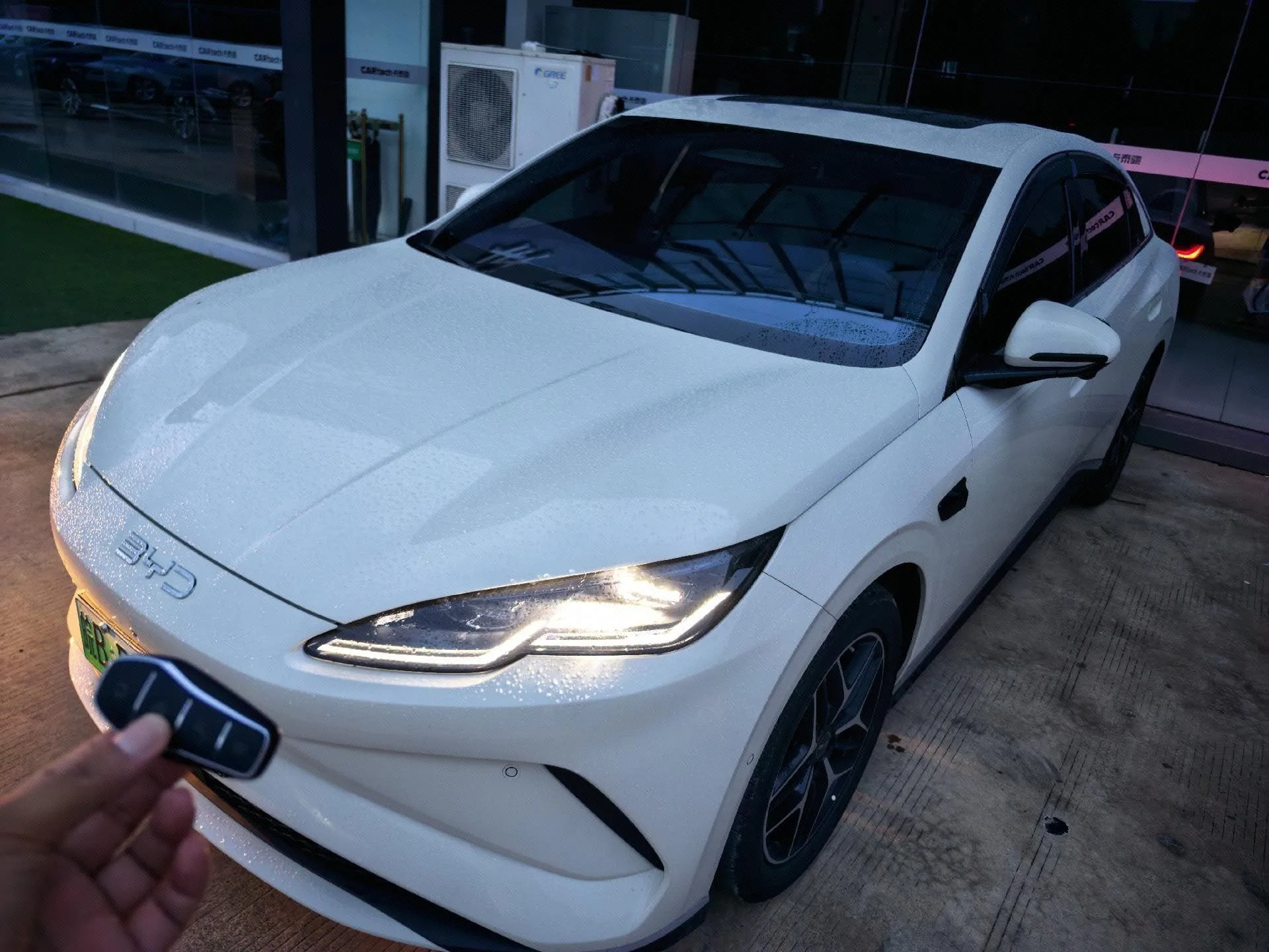 МИР 2025 Тюлень 06 ЭТОТ 545 км Флагманский Автоматический