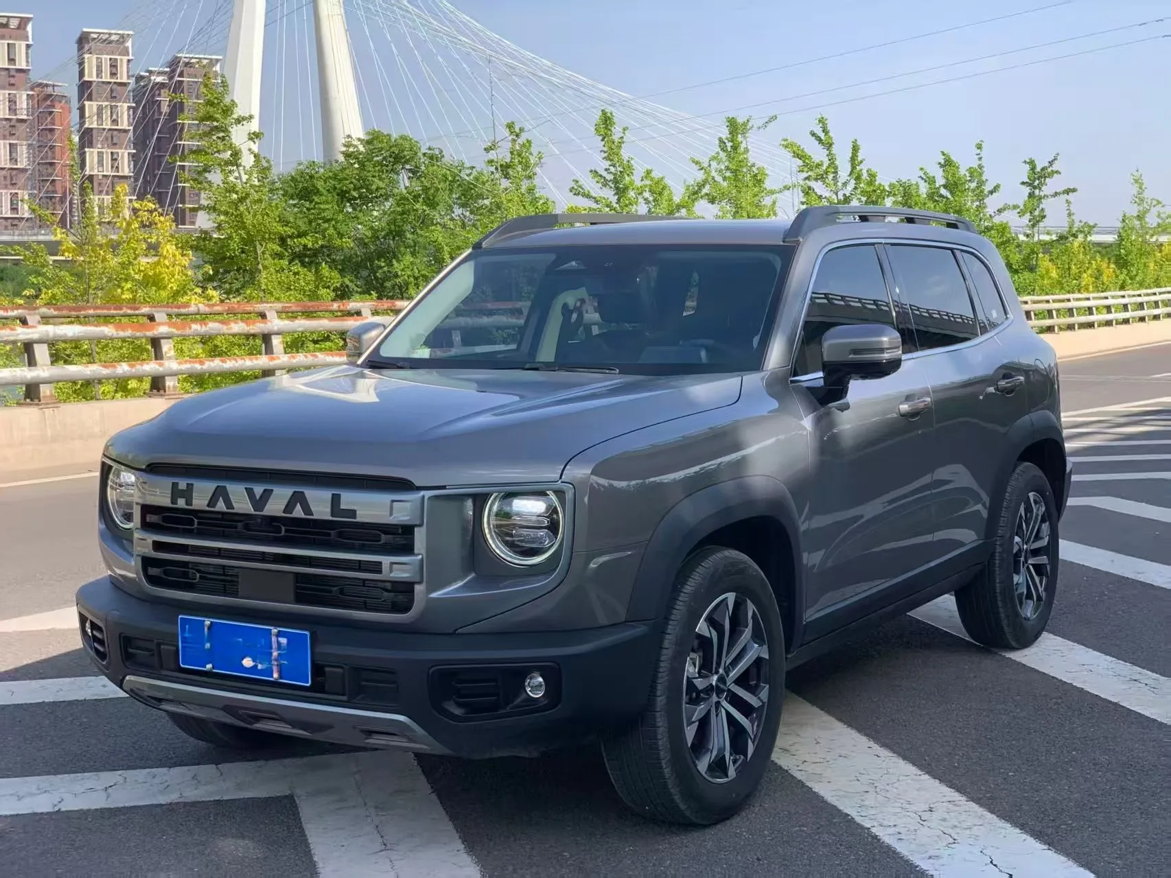 Haval 2024 Big Dog 1.5T Labrador Edition Automatic