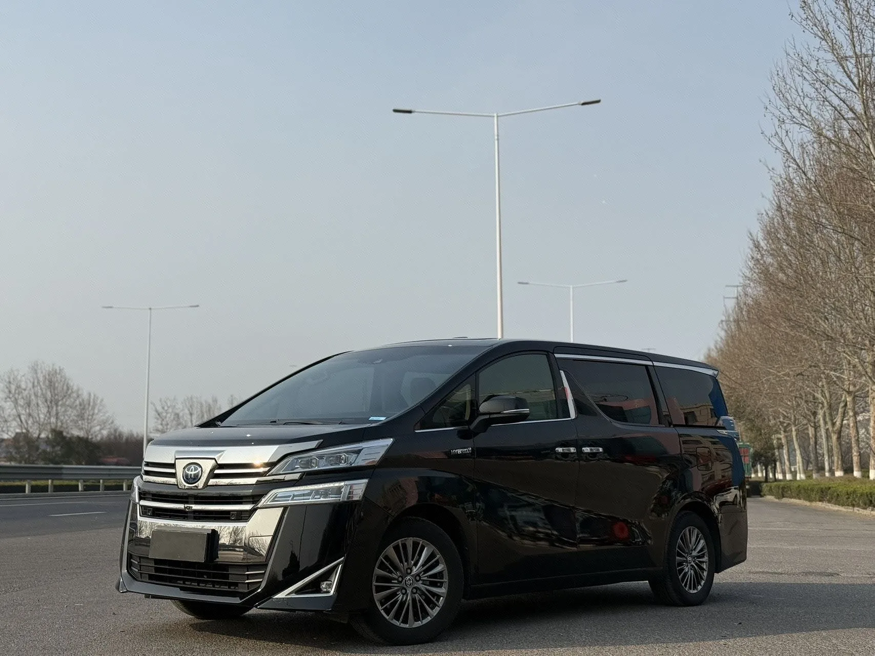 Weilfa 2020 2.5L Hybrid Premium Edition