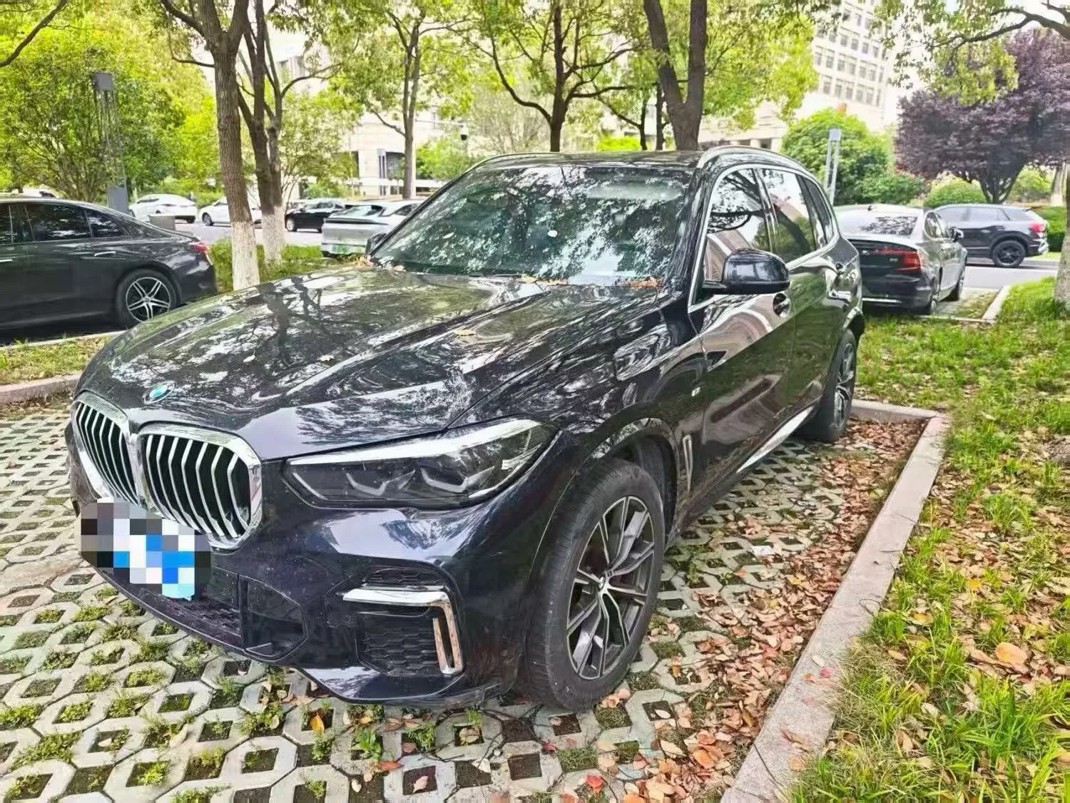 BMW X5 2022 xDrive 30Li M Sport Package